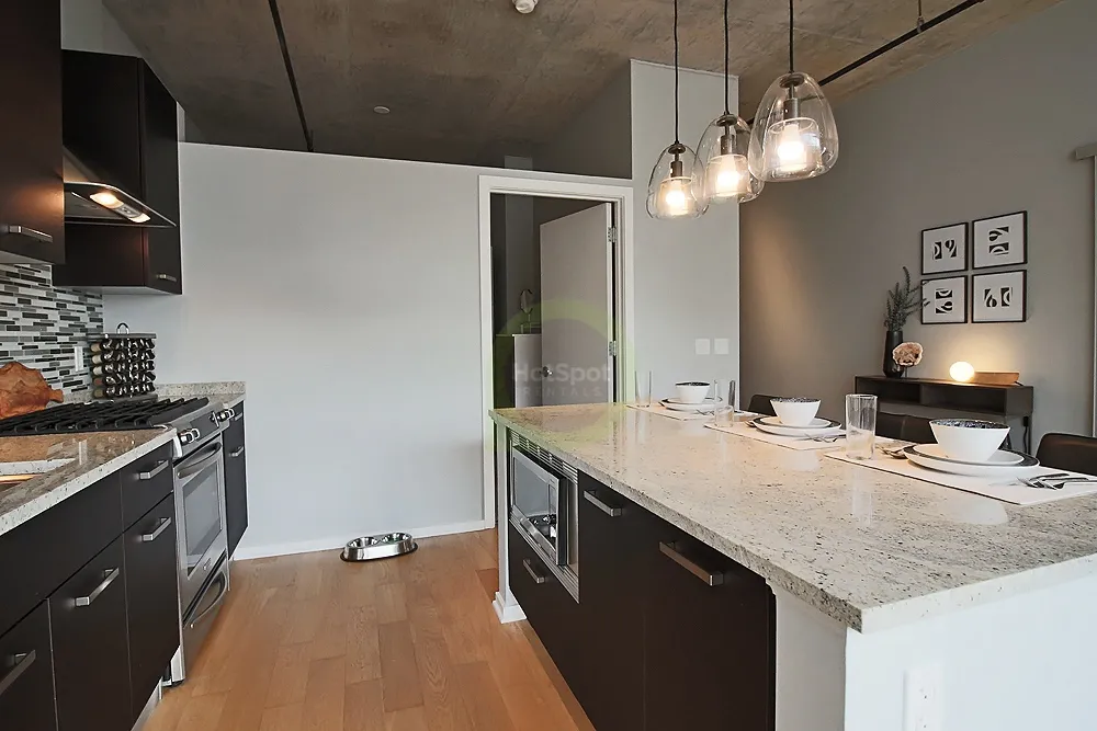 150 W ROOSEVELT AVE 60605-unit#319-Chicago-IL