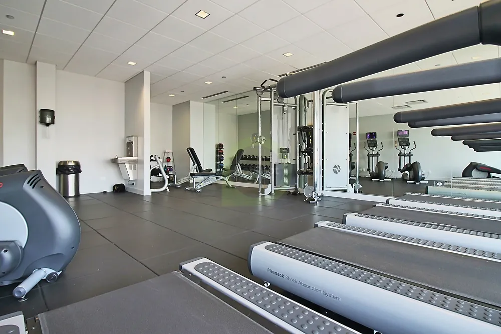 150 W ROOSEVELT AVE 60605-unit#319-Chicago-IL