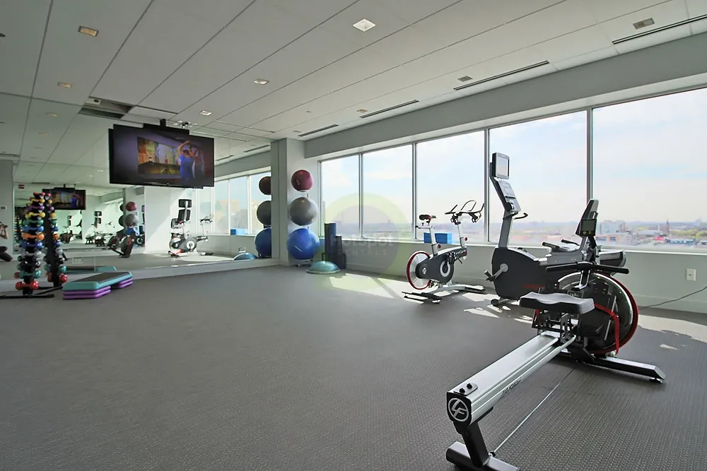 150 W ROOSEVELT AVE 60605-unit#319-Chicago-IL