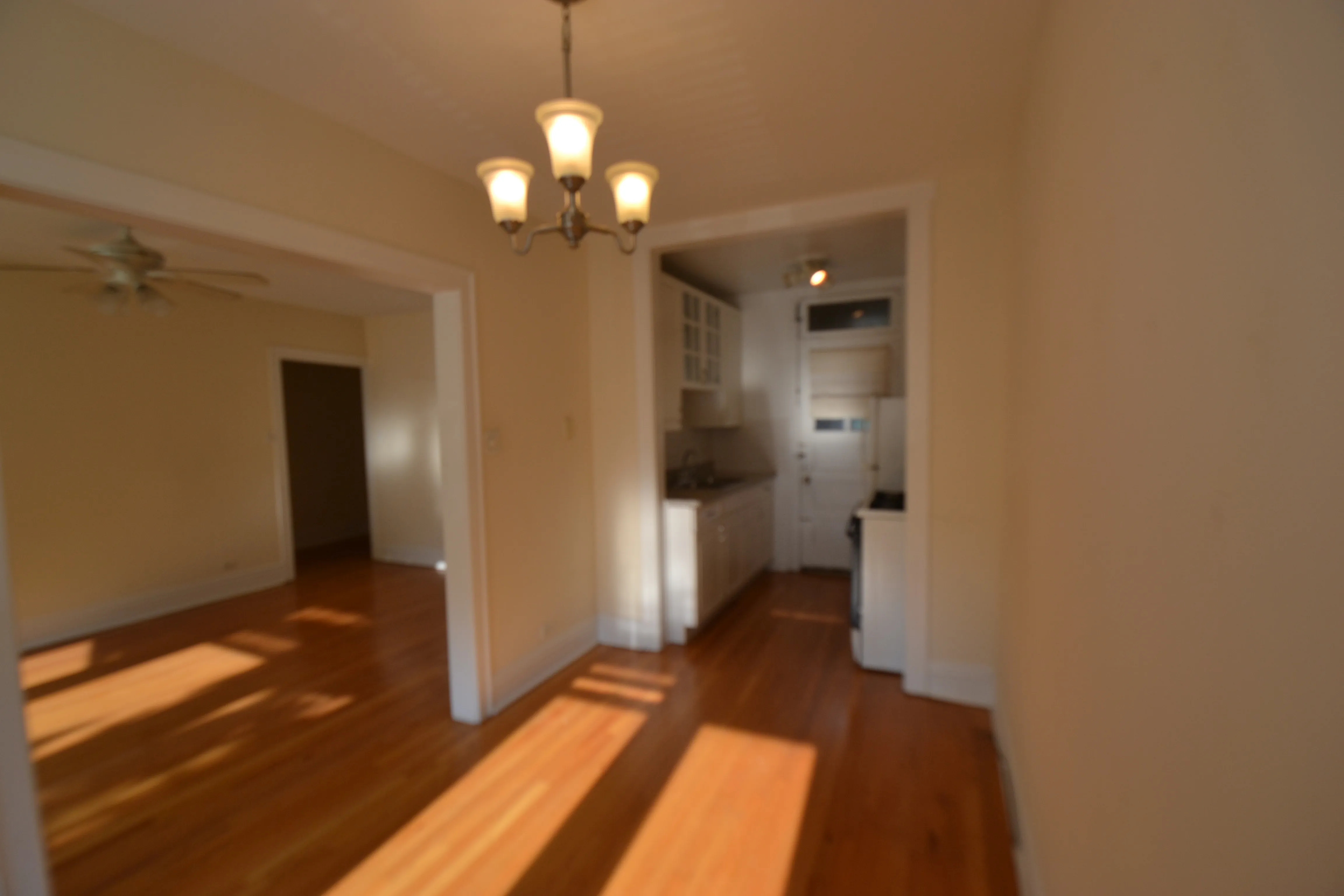 3708 N WOLCOTT AVE 60613-Wolcott Apartments-unit#Apt 1-Chicago-IL