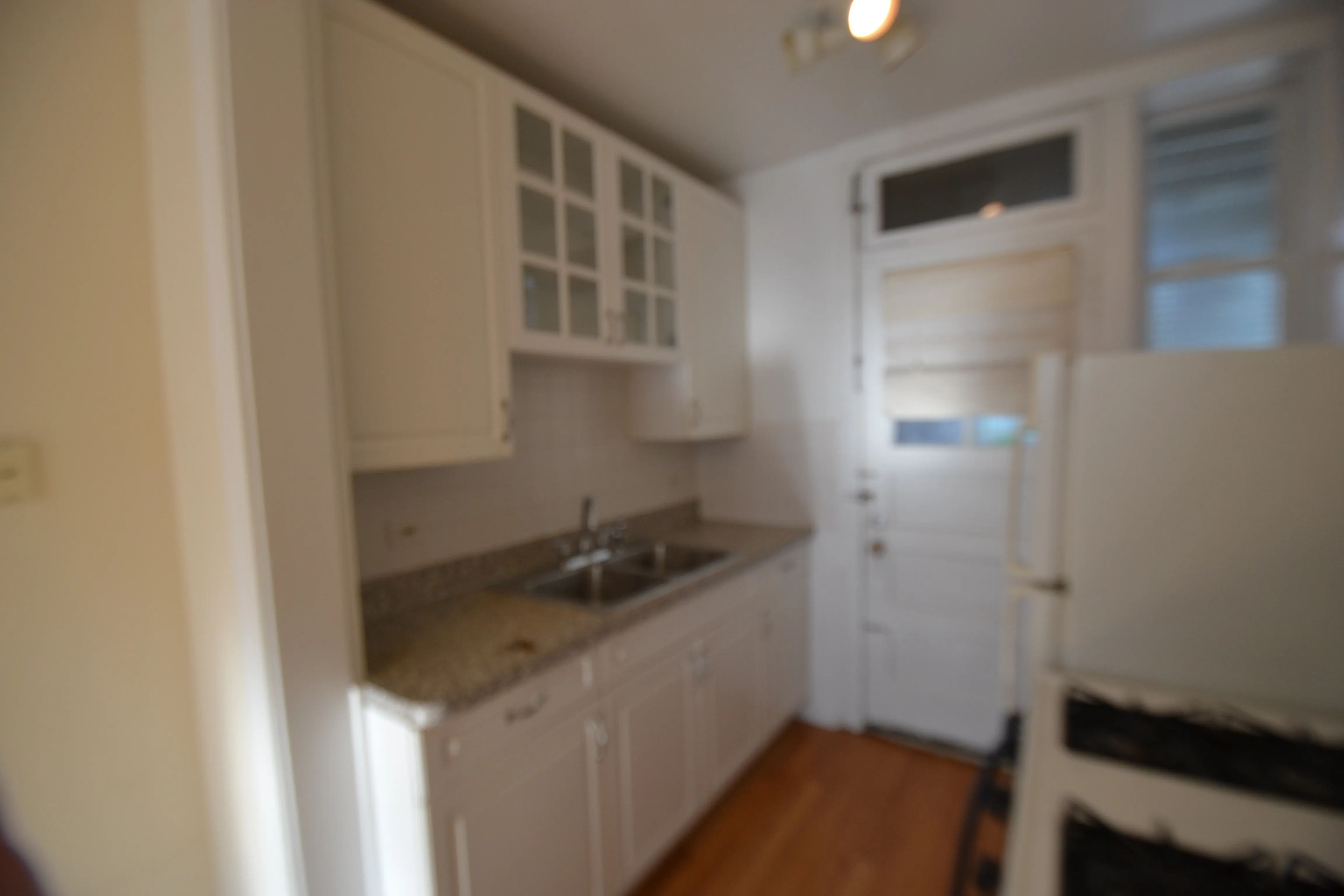 3708 N WOLCOTT AVE 60613-Wolcott Apartments-unit#Apt 1-Chicago-IL