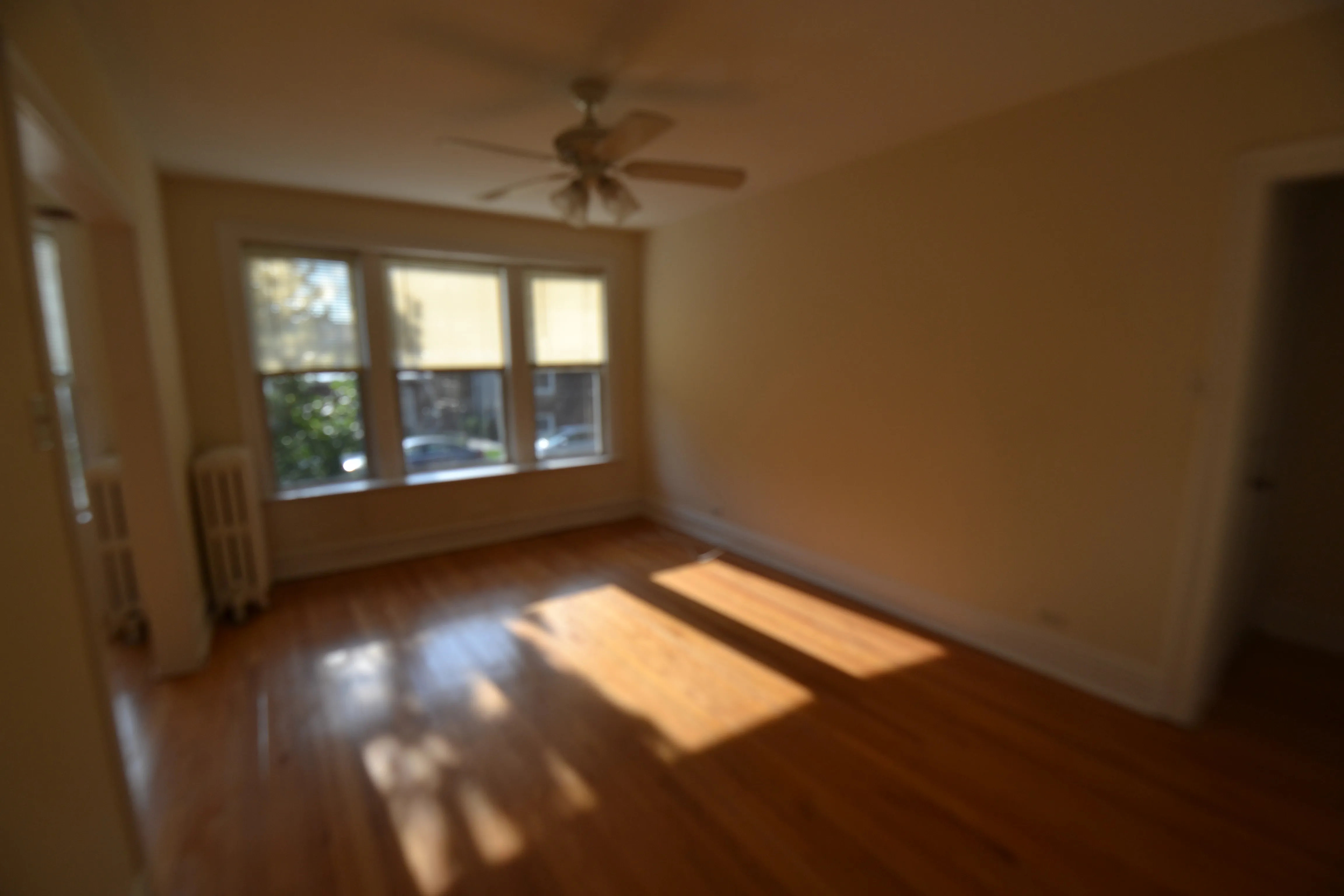 3708 N WOLCOTT AVE 60613-Wolcott Apartments-unit#Apt 1-Chicago-IL