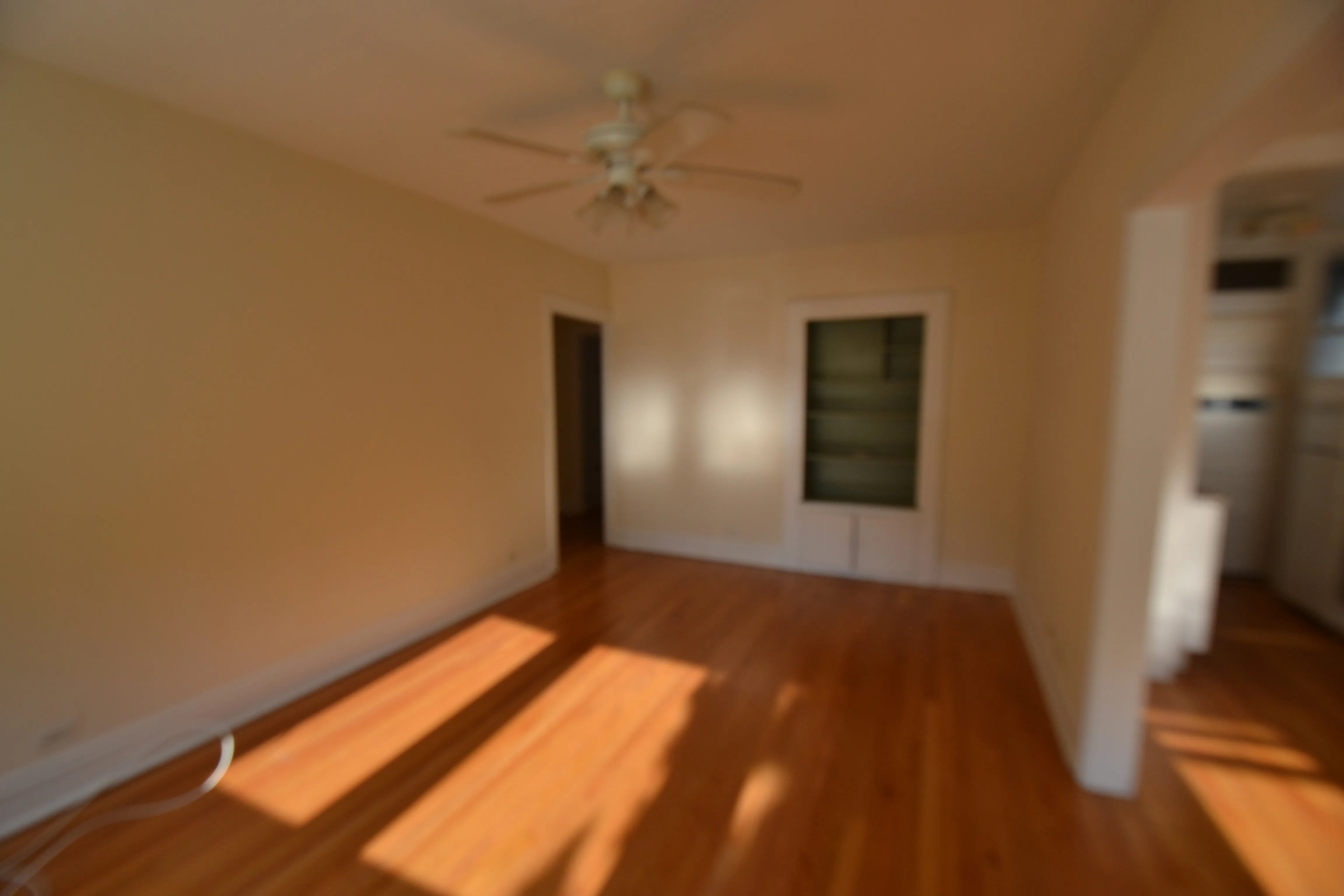 3708 N WOLCOTT AVE 60613-Wolcott Apartments-unit#Apt 1-Chicago-IL