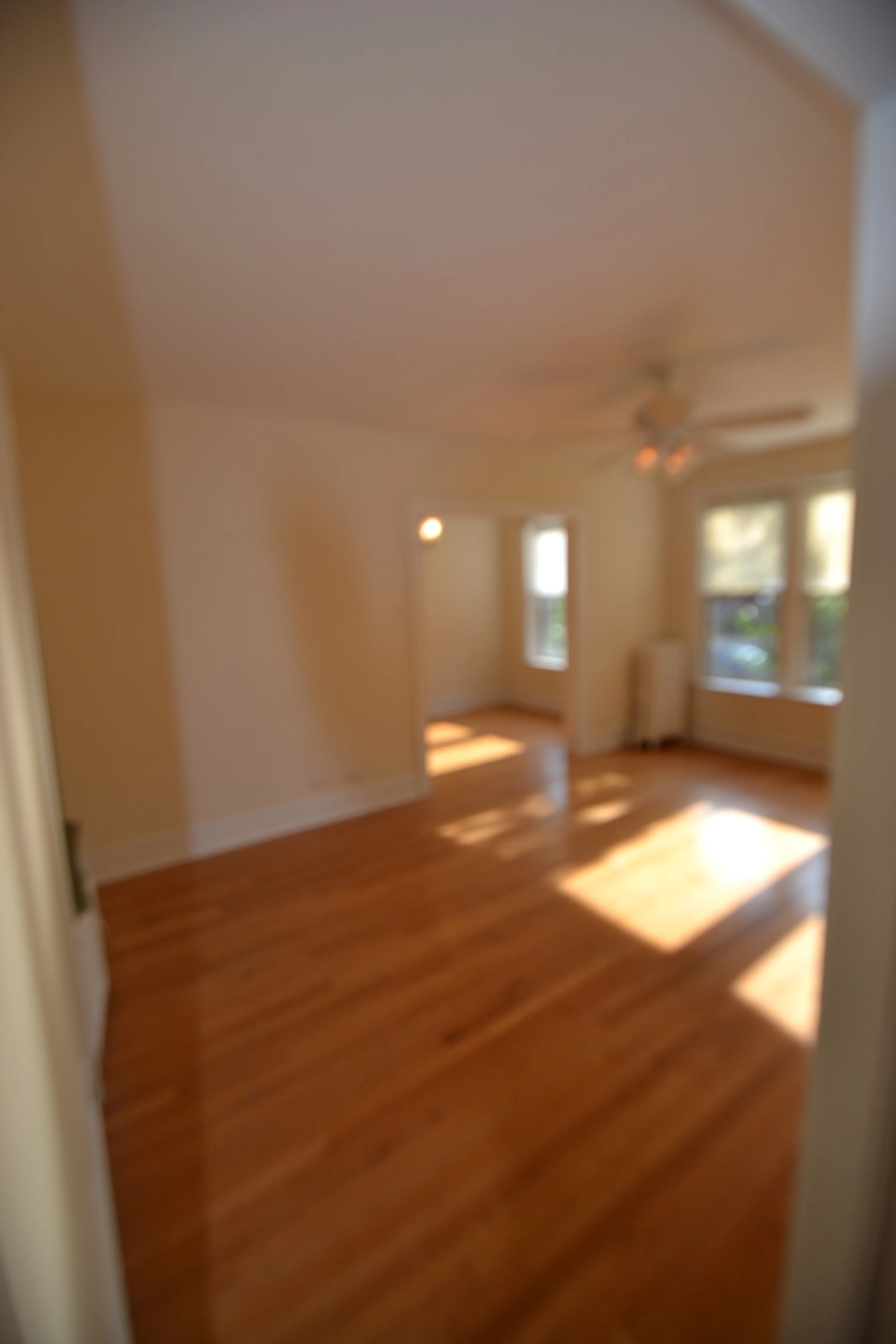 3708 N WOLCOTT AVE 60613-Wolcott Apartments-unit#Apt 1-Chicago-IL