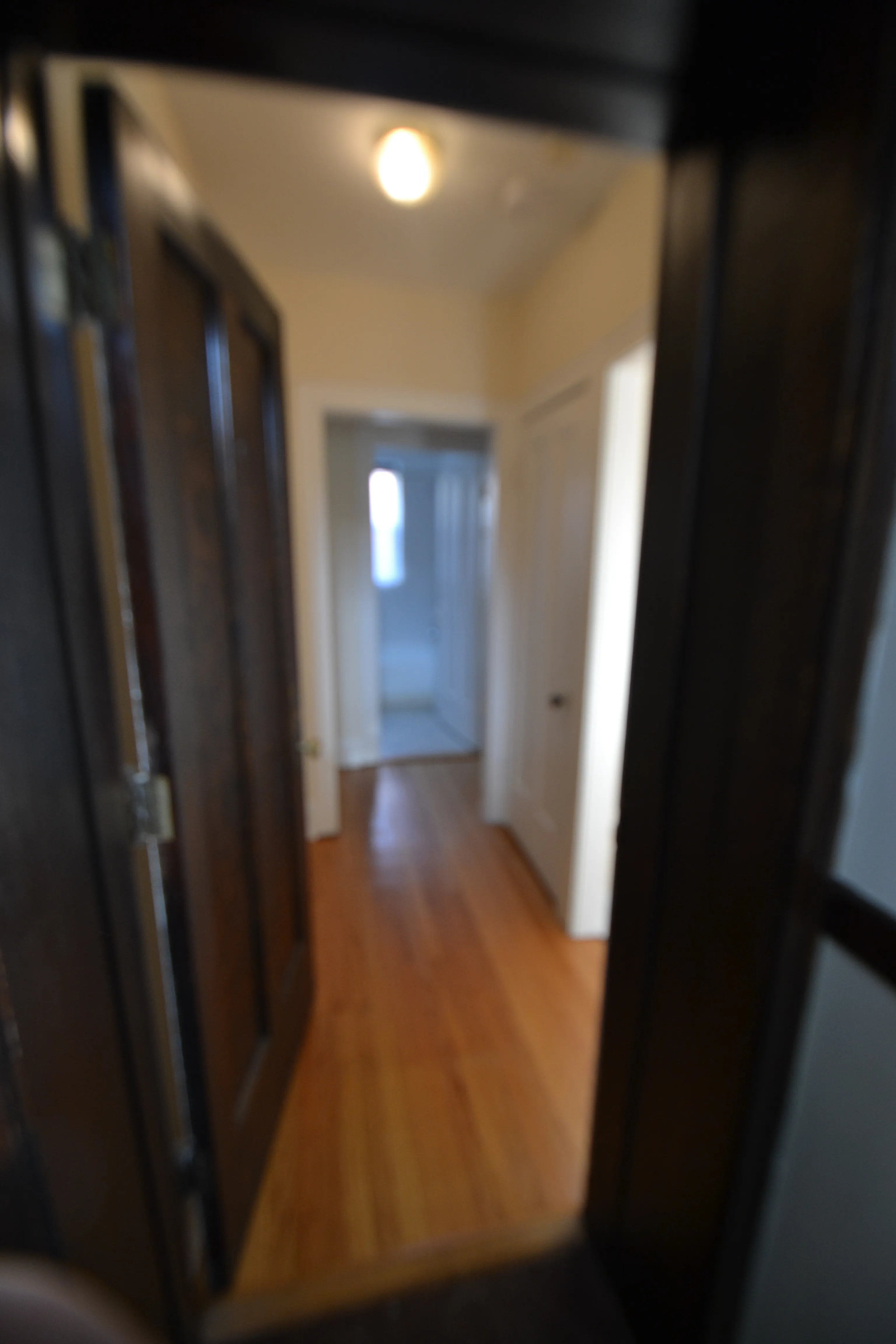 3708 N WOLCOTT AVE 60613-Wolcott Apartments-unit#Apt 1-Chicago-IL