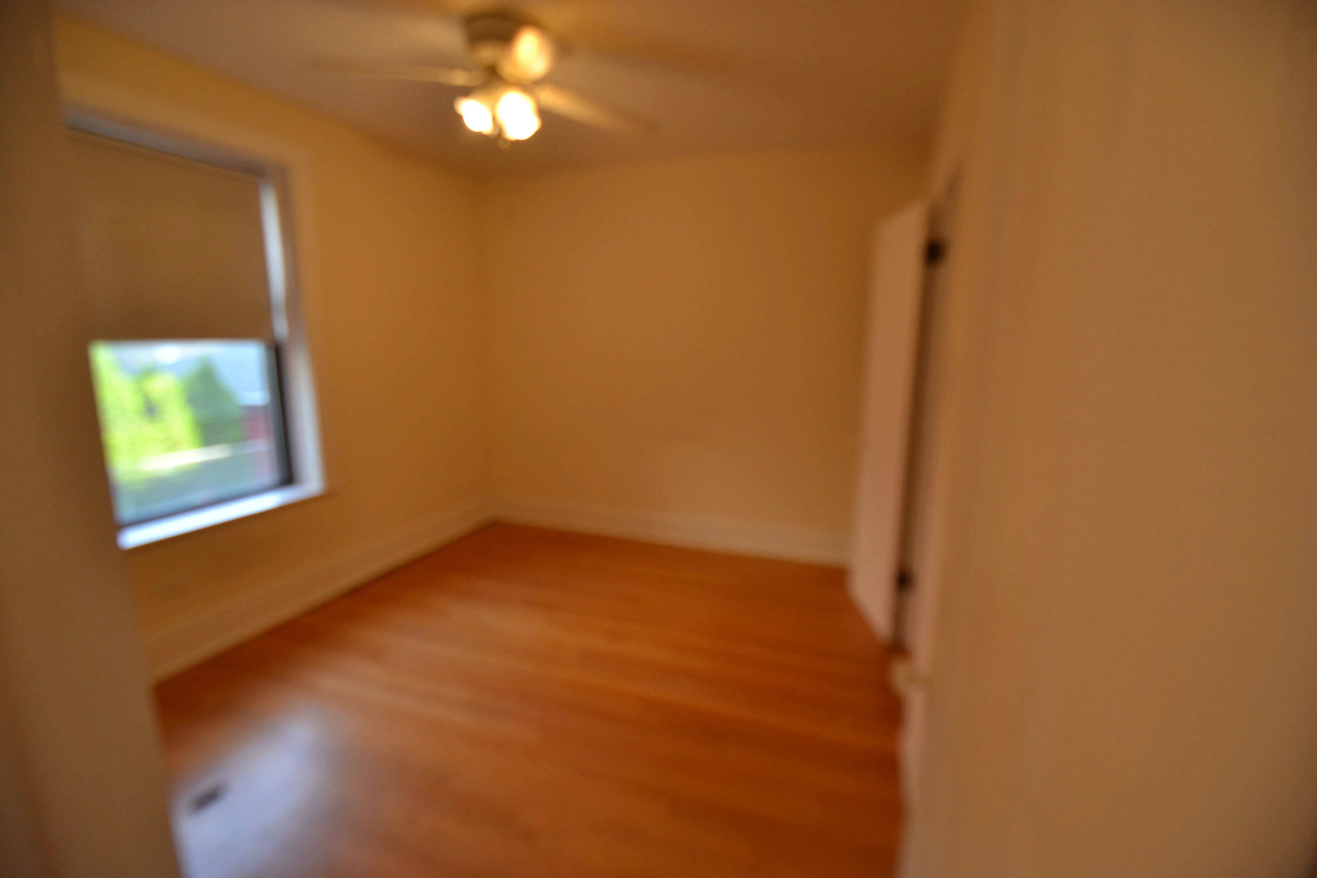 3708 N WOLCOTT AVE 60613-Wolcott Apartments-unit#Apt 1-Chicago-IL