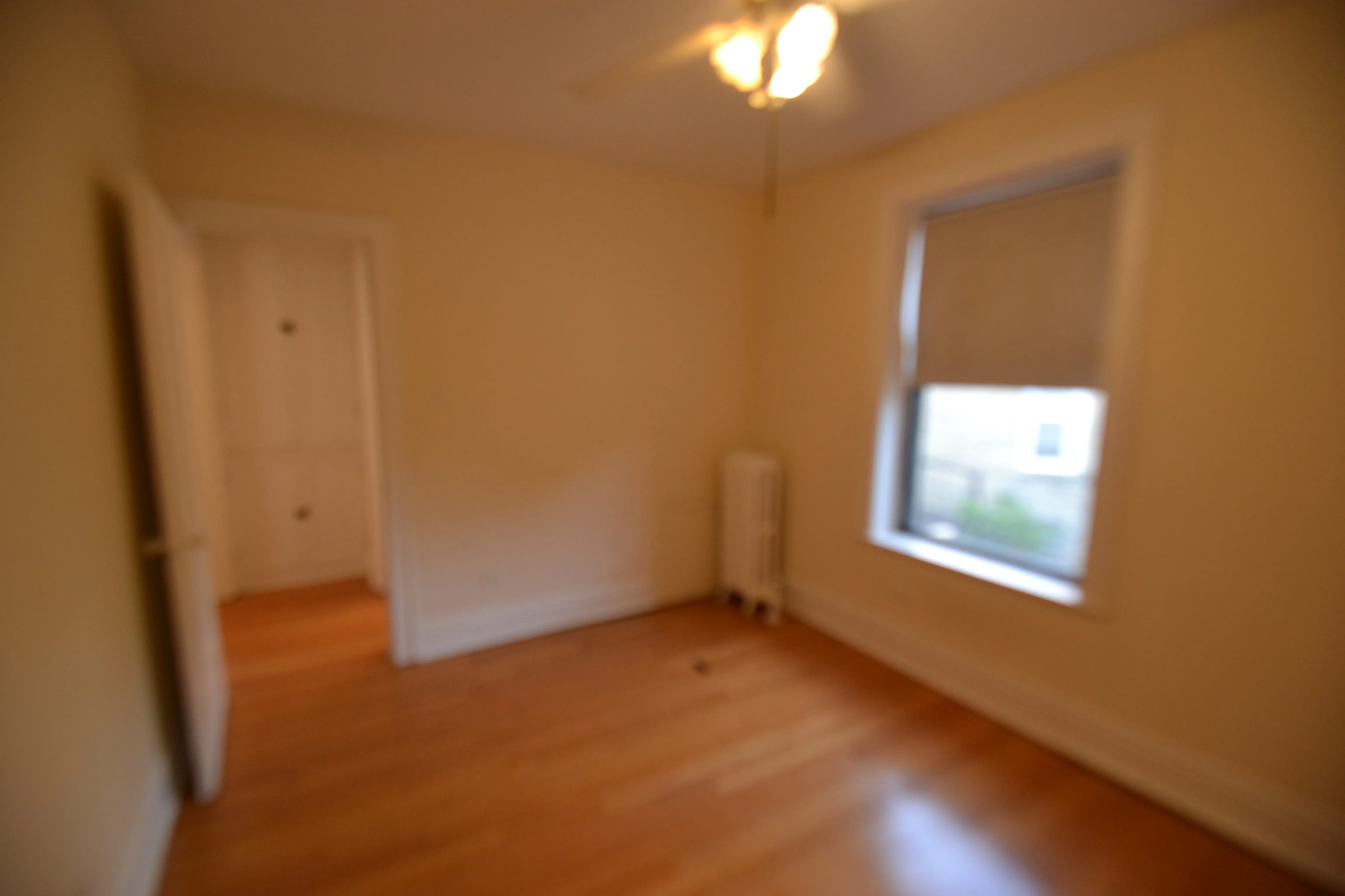 3708 N WOLCOTT AVE 60613-Wolcott Apartments-unit#Apt 1-Chicago-IL