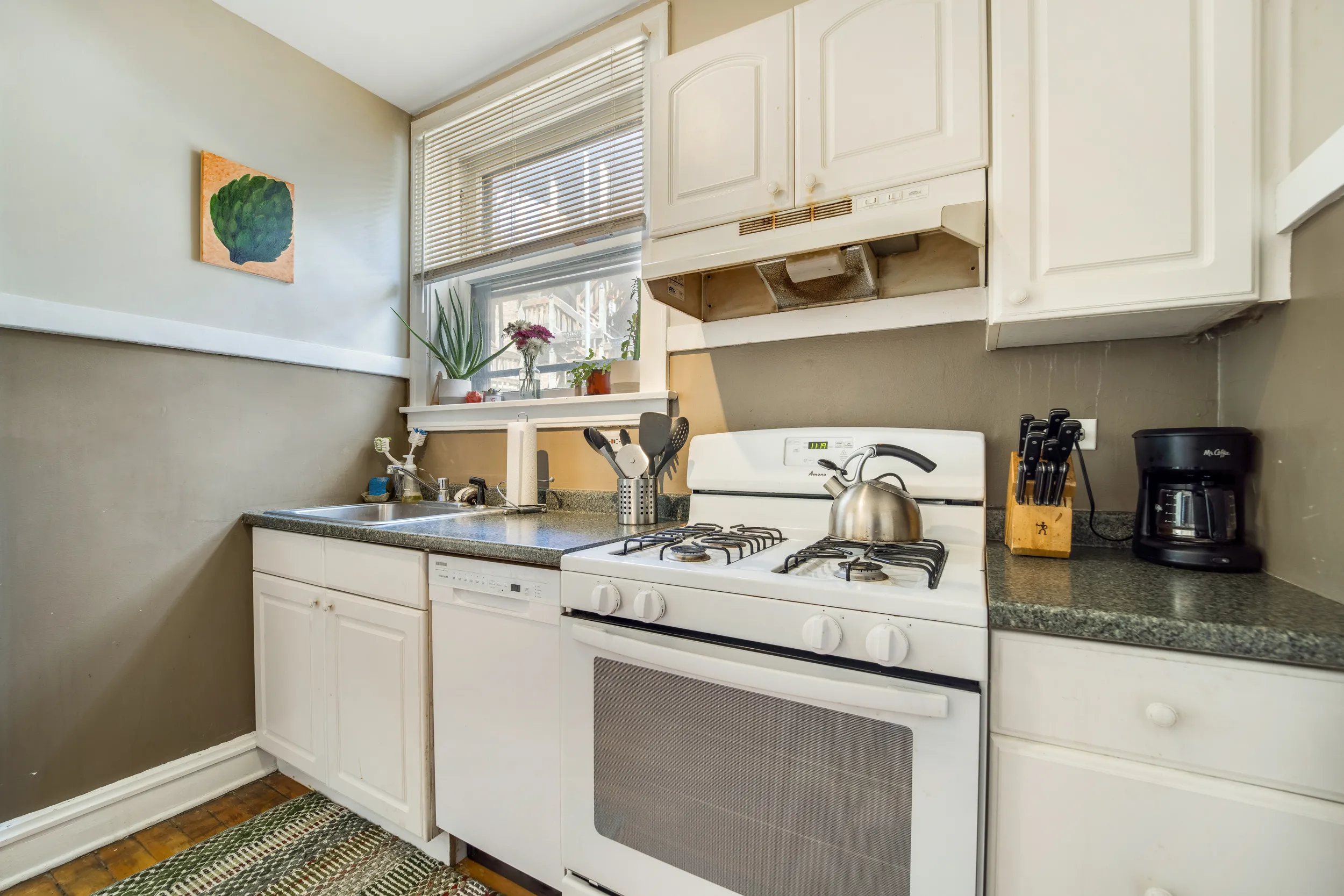 4891 N HERMITAGE AVE 60640-Ravenswood Gem-unit#1C-Chicago-IL
