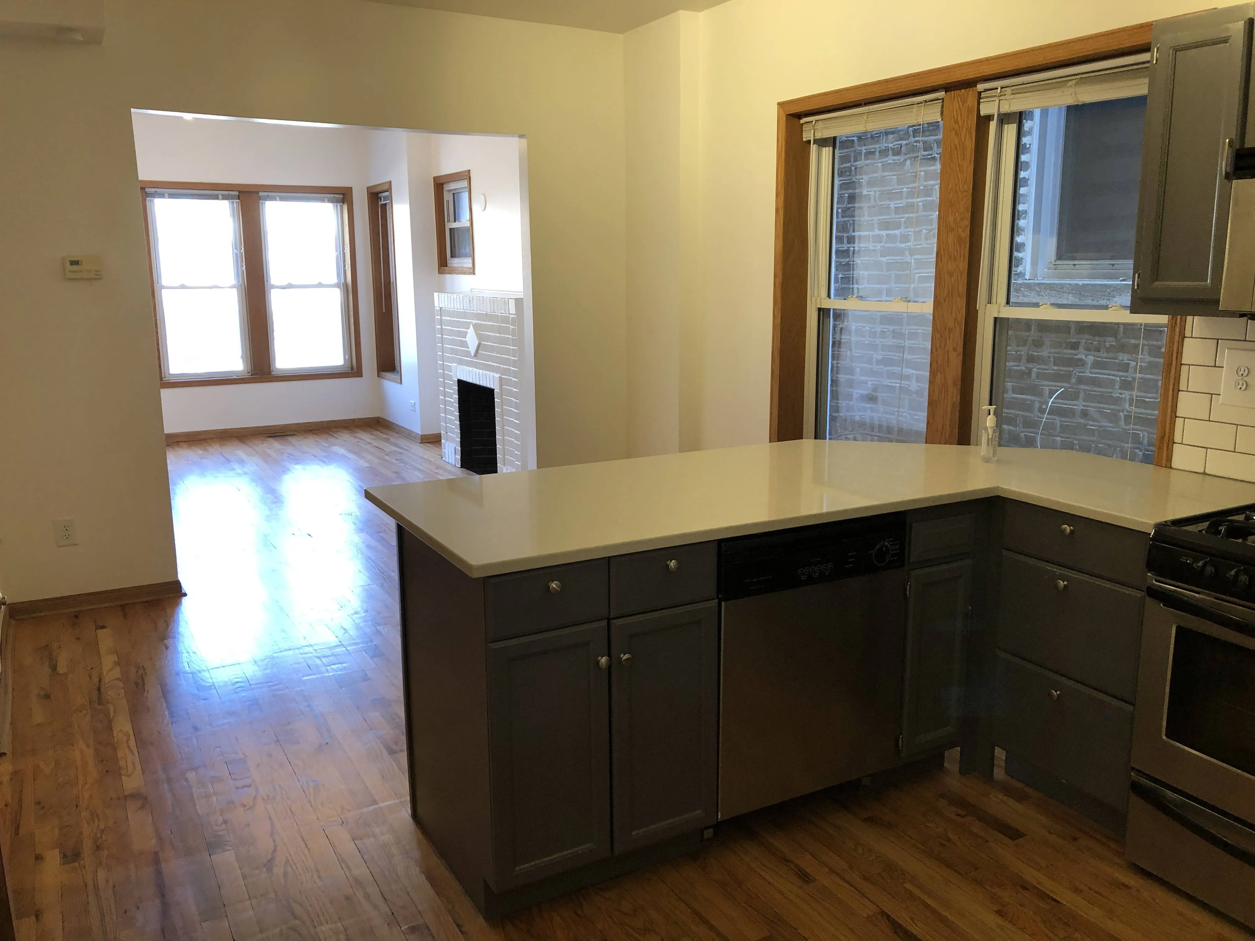 2110 N OAKLEY AVE 60647-unit#1-Chicago-IL
