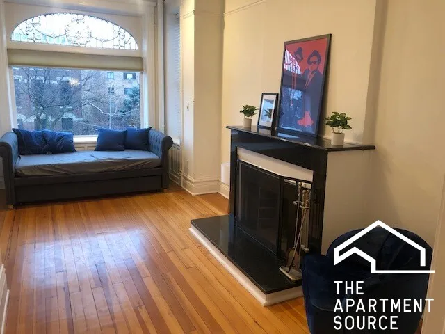 1539 N WELLS ST 60610-unit#3-Chicago-IL