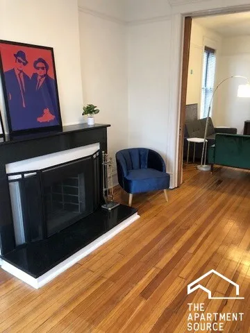 1539 N WELLS ST 60610-unit#3-Chicago-IL