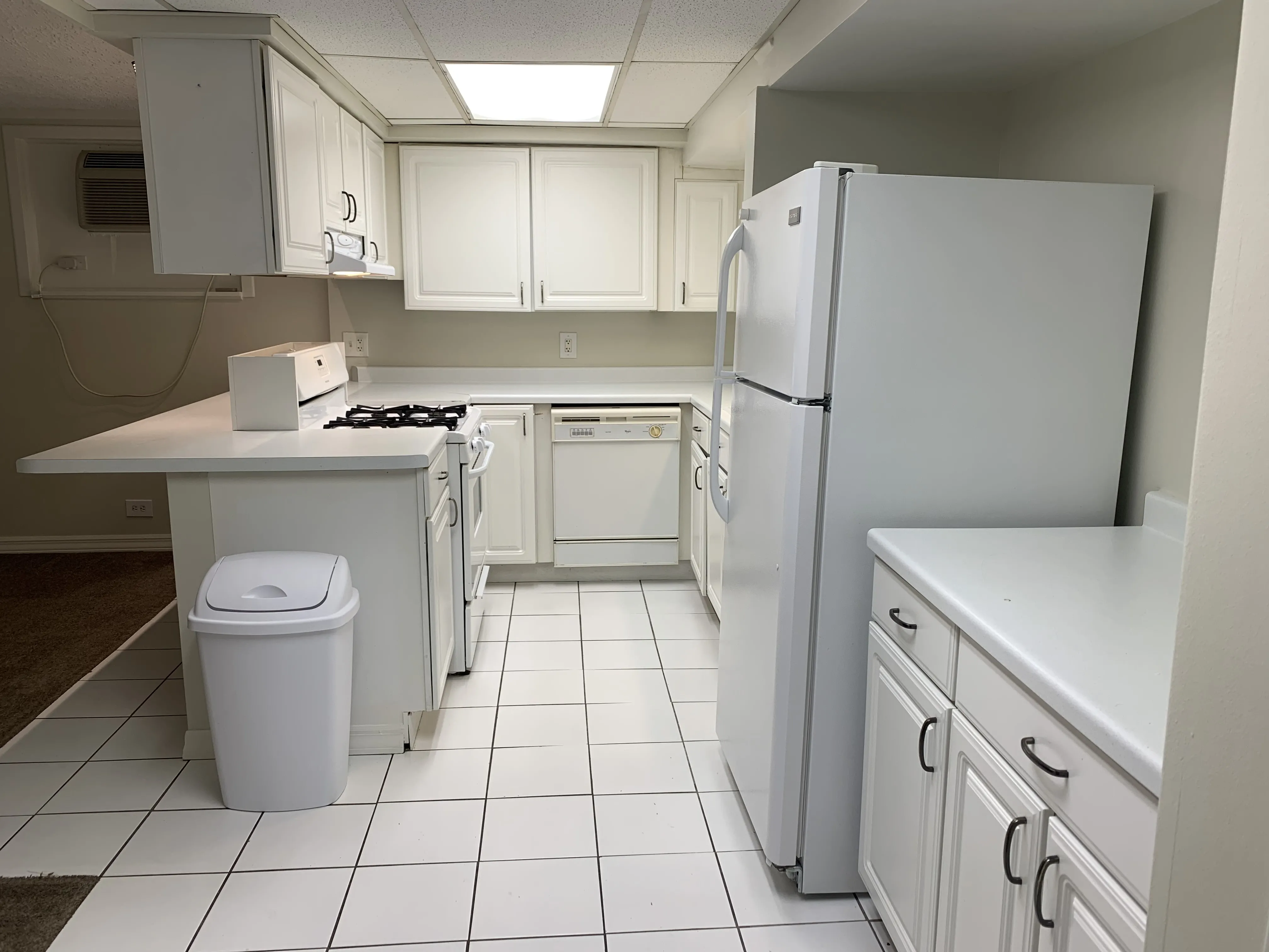 1321 W THORNDALE AVE 60660-unit#GDN-Chicago-IL