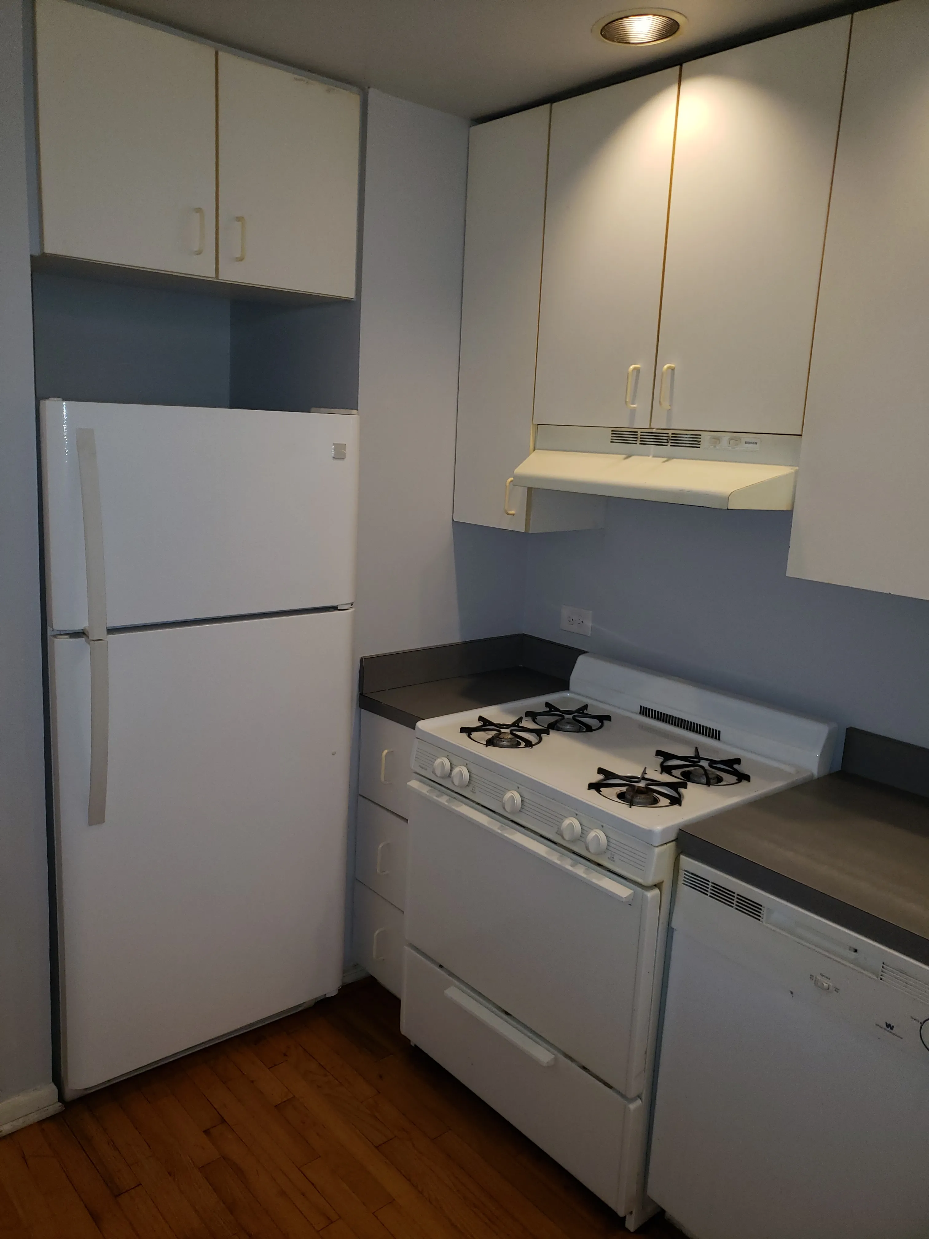 836 N WOLCOTT AVE 60622-Wolcott Apartments-unit#Apt 1-Chicago-IL