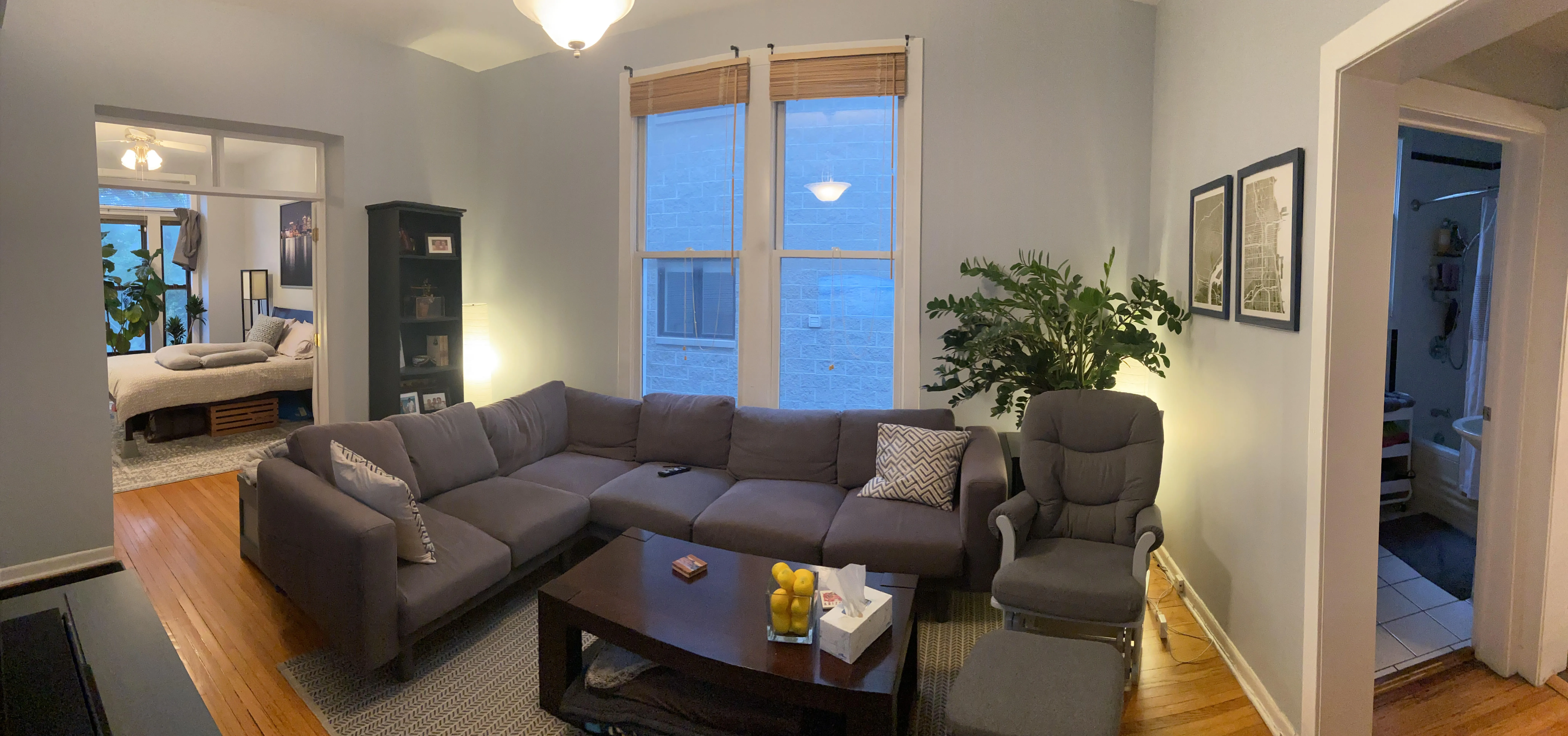 1717 W HENDERSON ST 60657-unit#2 Flr-Chicago-IL