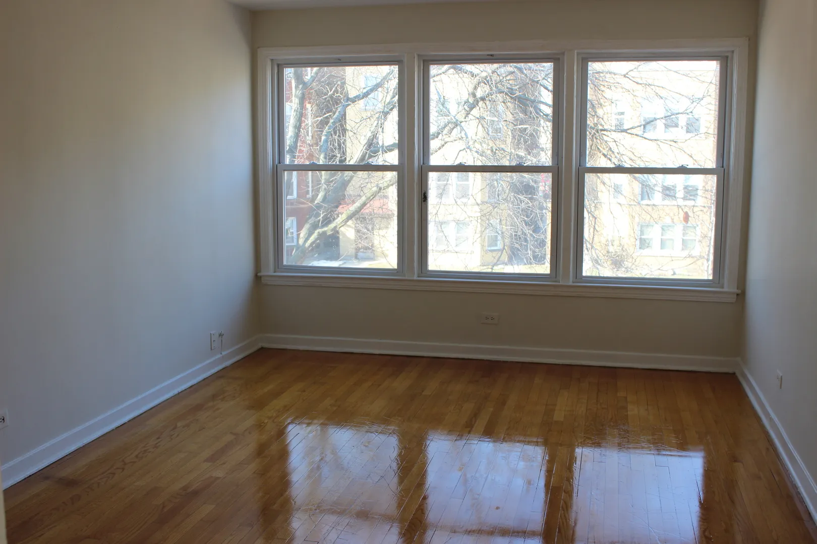 9119 La Crosse Ave, , 60077, USA 60077-Skokie-IL