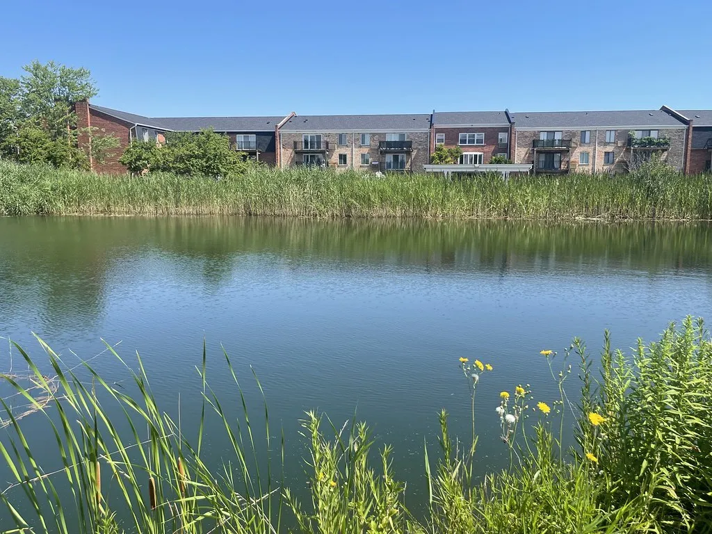 4250 W Lake Ave, ,  60026, USA 60026-Glenview-IL