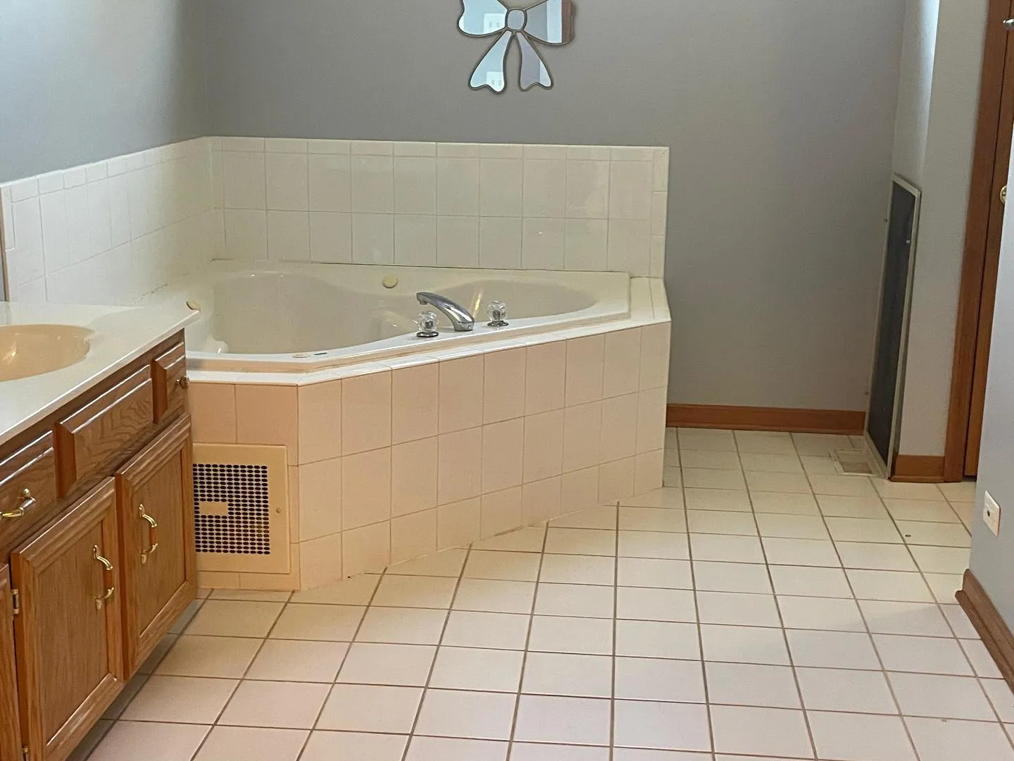 13356 Vicarage Dr, , 60585, USA 60585-Plainfield-IL