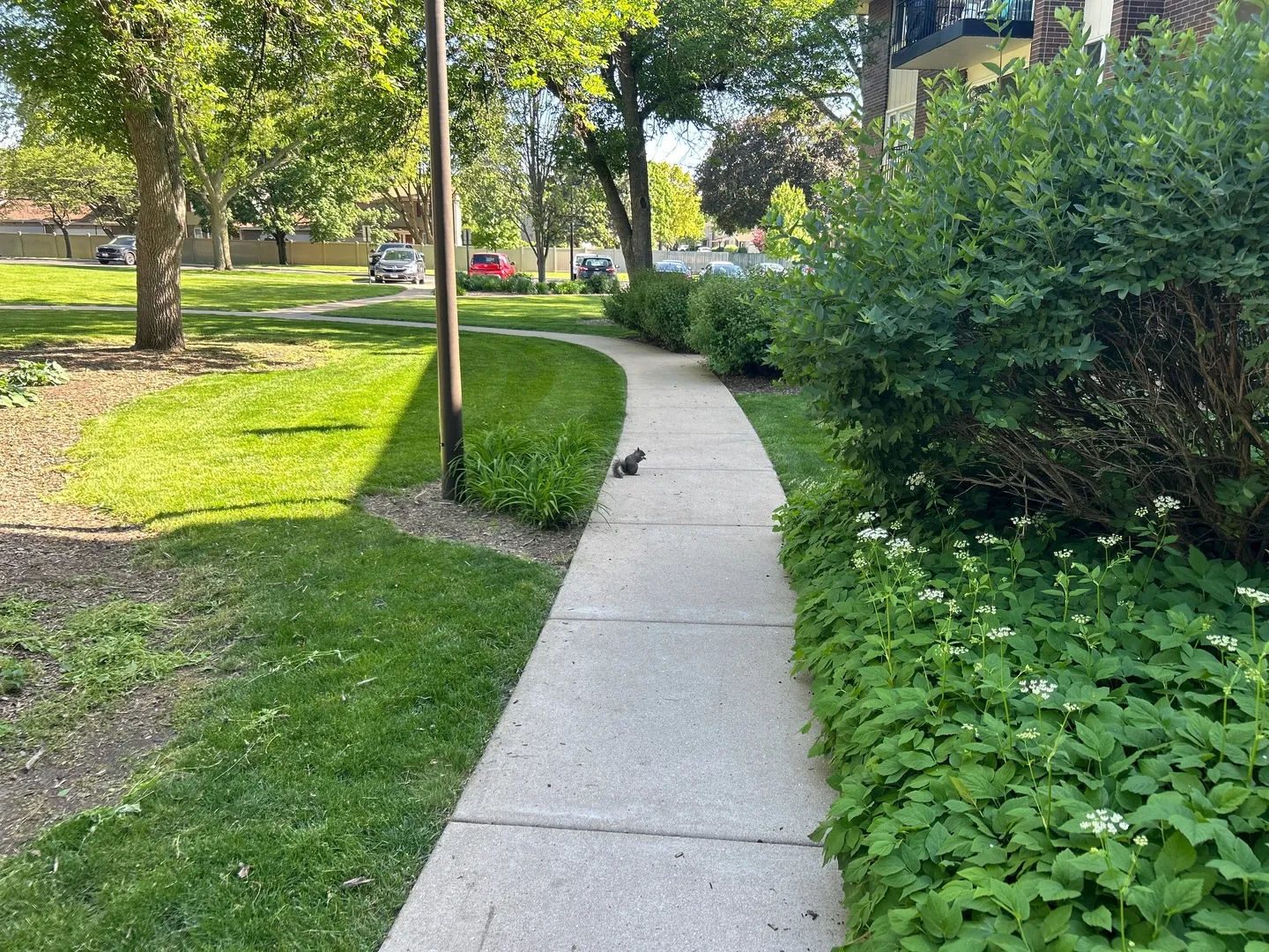 5S070 Pebblewood Ln, , 60563, USA 60563-Naperville-IL