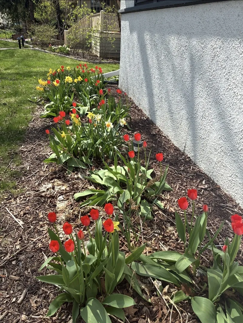 934 Michigan Ave, , 60202, USA 60202-Evanston-IL