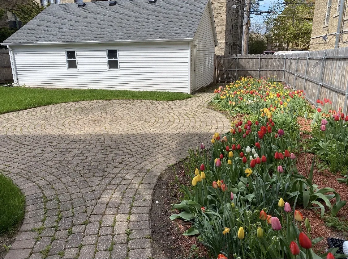 934 Michigan Ave, , 60202, USA 60202-Evanston-IL