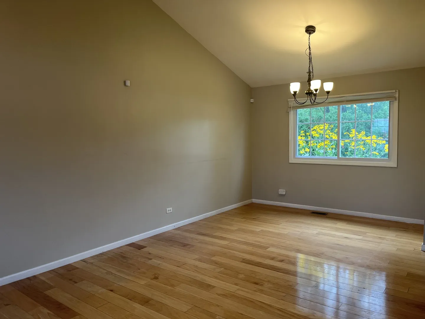 1208 Duke Ct, ,  60565, USA 60565-Naperville-IL
