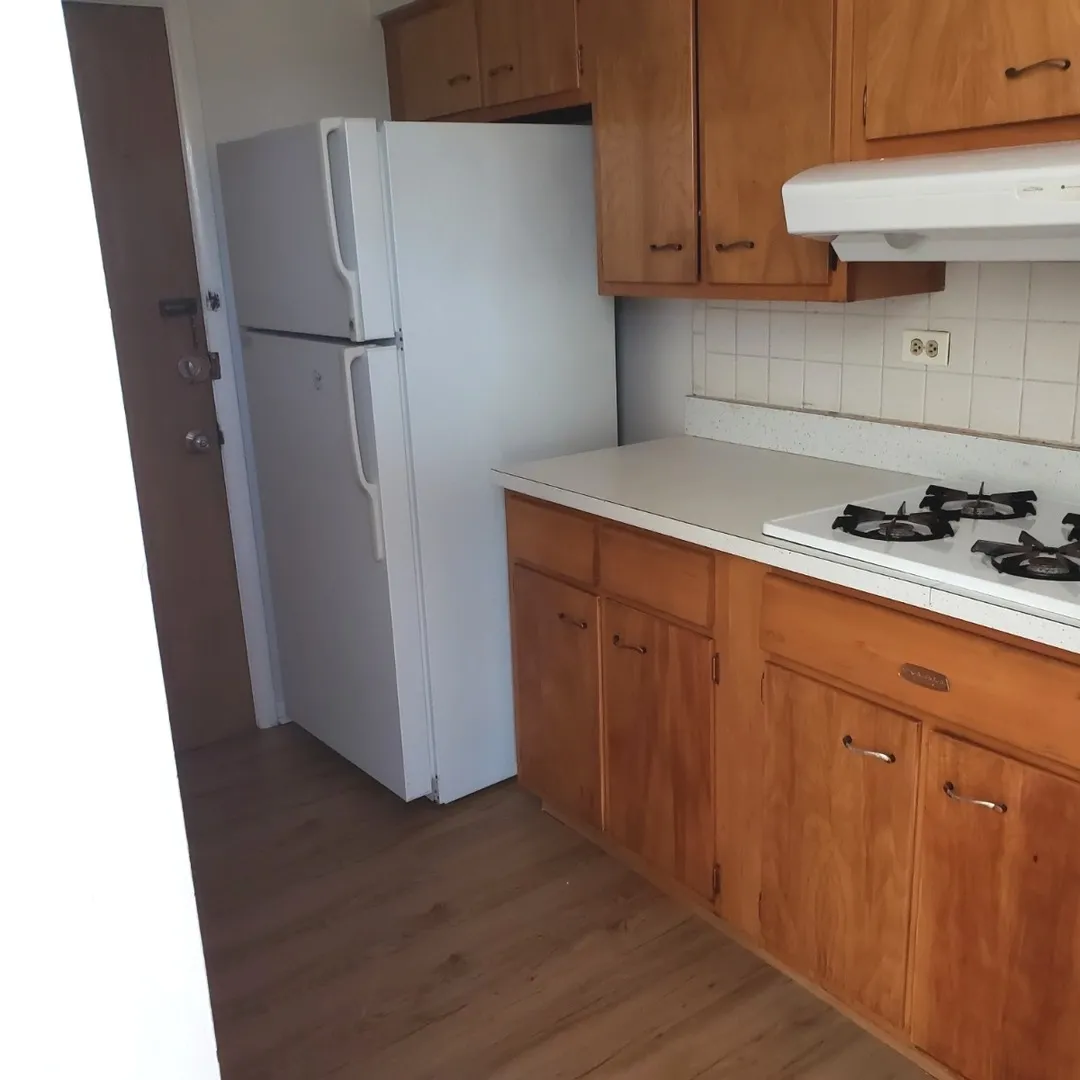 8537 Niles Center Rd, , 60077, USA 60077-Skokie-IL