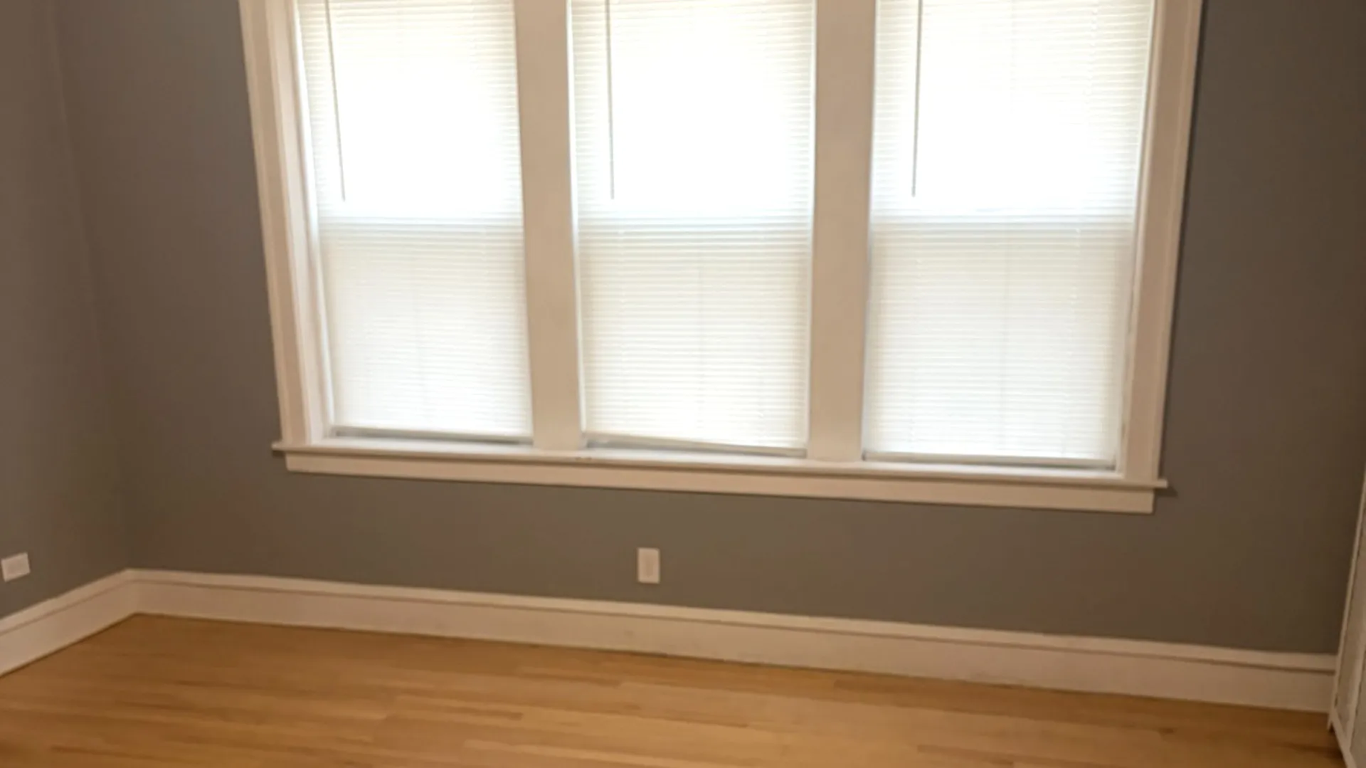 8221 Knox Ave, , 60076, USA 60076-Skokie-IL