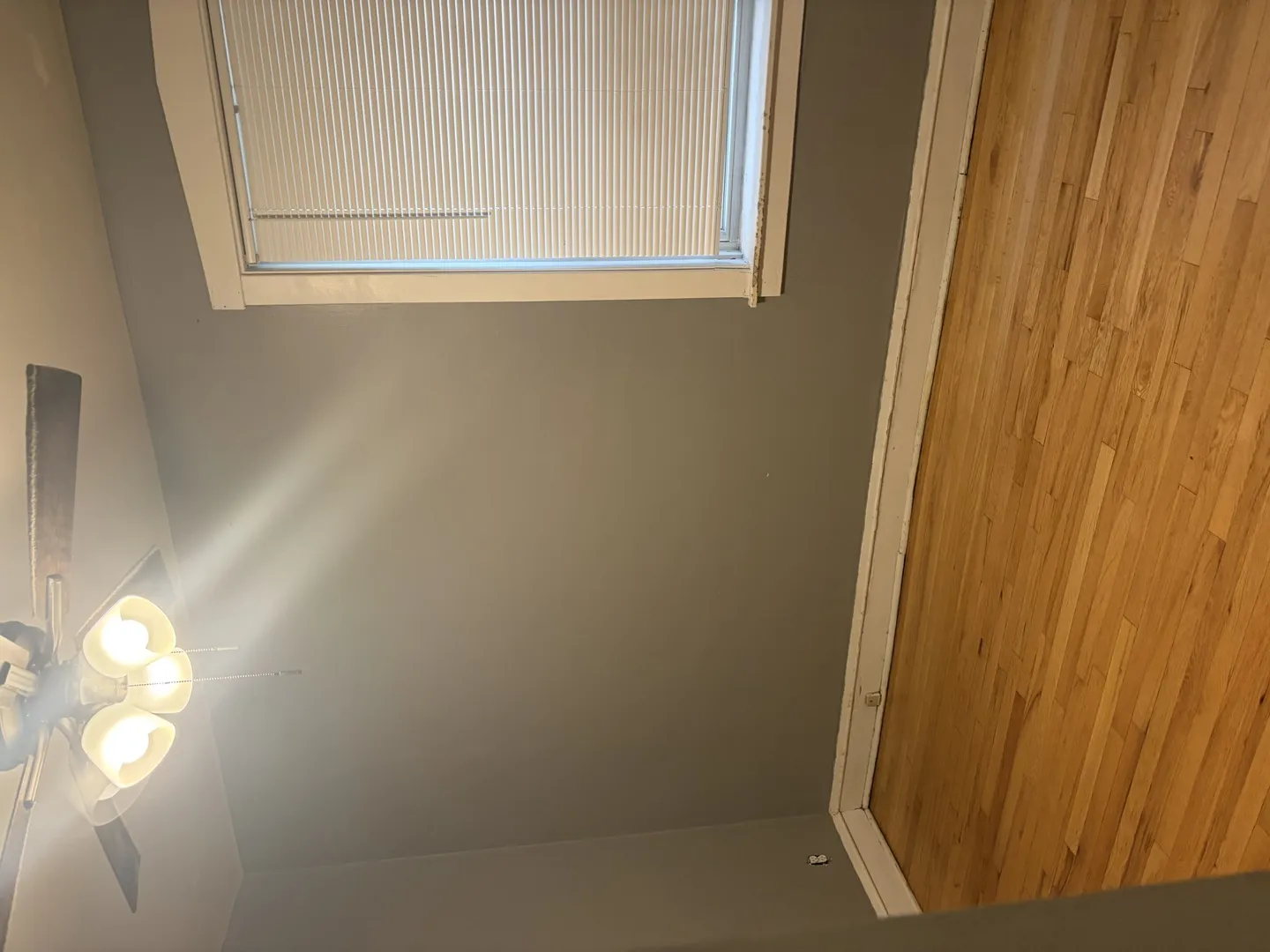 8221 Knox Ave, , 60076, USA 60076-Skokie-IL