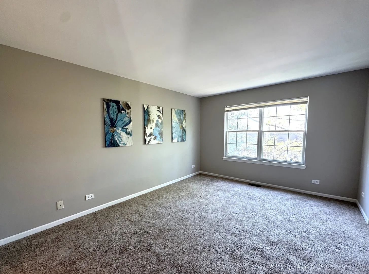 1139 Wickfield Ct, , 60563, USA 60563-Naperville-IL