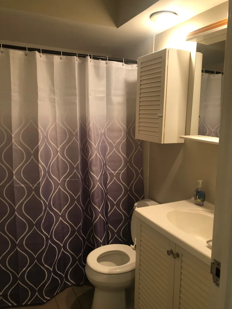 205 W Miner St, , 60005, USA 60005-Arlington Heights-IL
