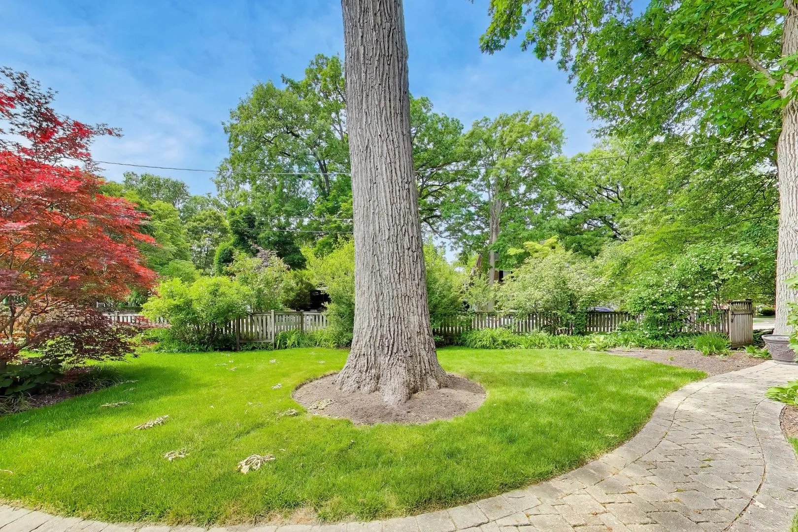 2624 Thayer St, ,  60201, USA 60201-Evanston-IL