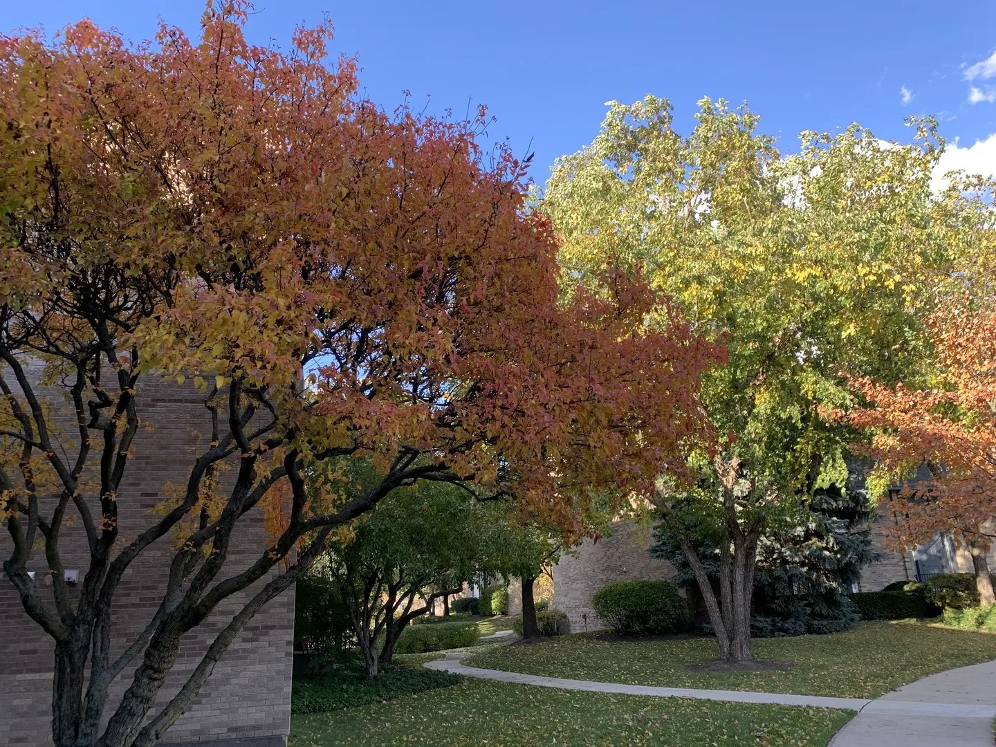 1963 Ammer Ridge Ct, , 60025, USA 60025-Glenview-IL