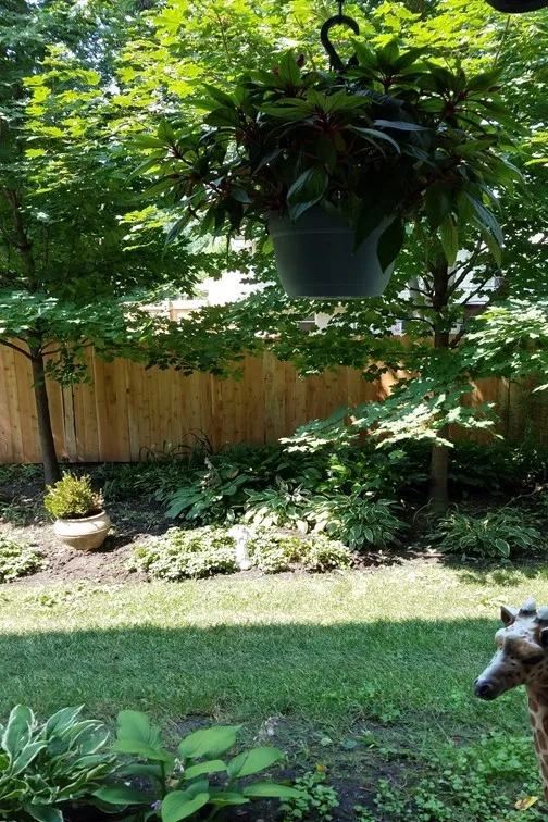 5S560 Paxton Dr, , 60563, USA 60563-Naperville-IL
