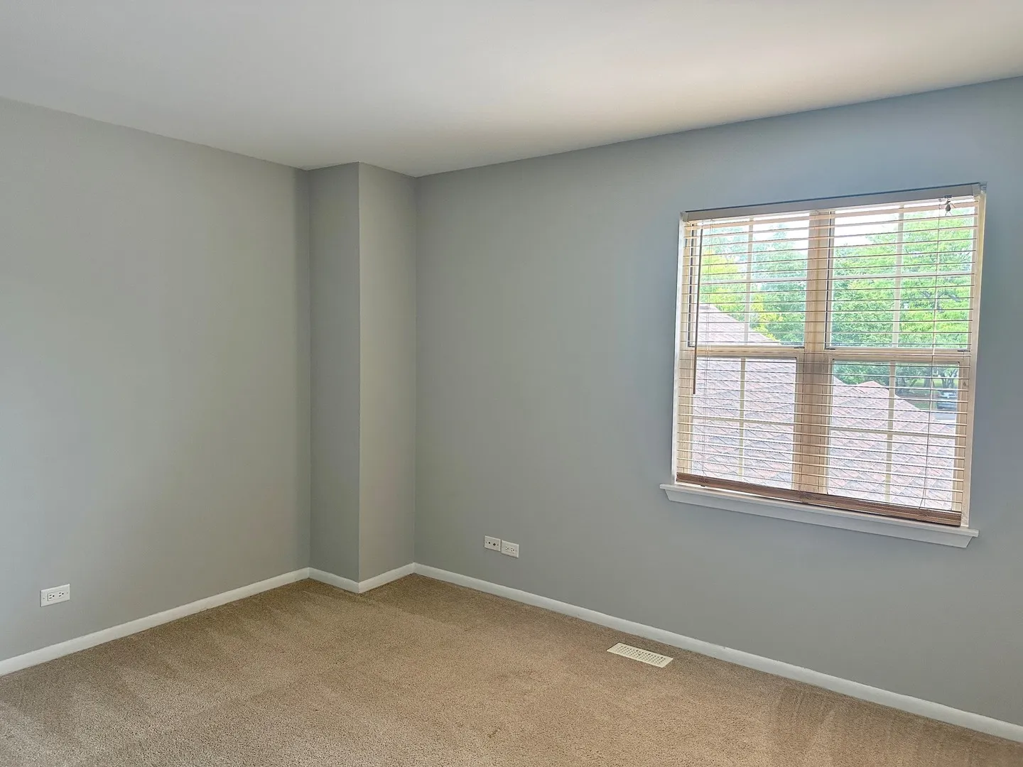 1132 Regency Ct, ,  60193, USA 60193-Schaumburg-IL
