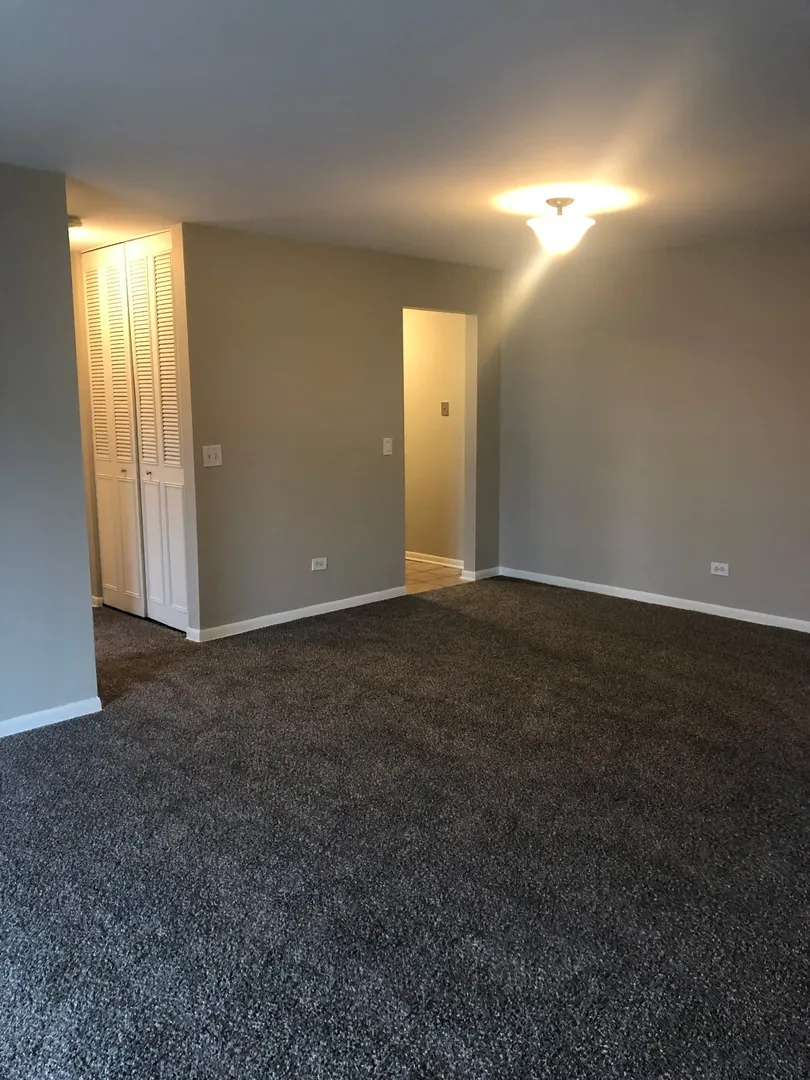 205 W Miner St, ,  60005, USA 60005-Arlington Heights-IL