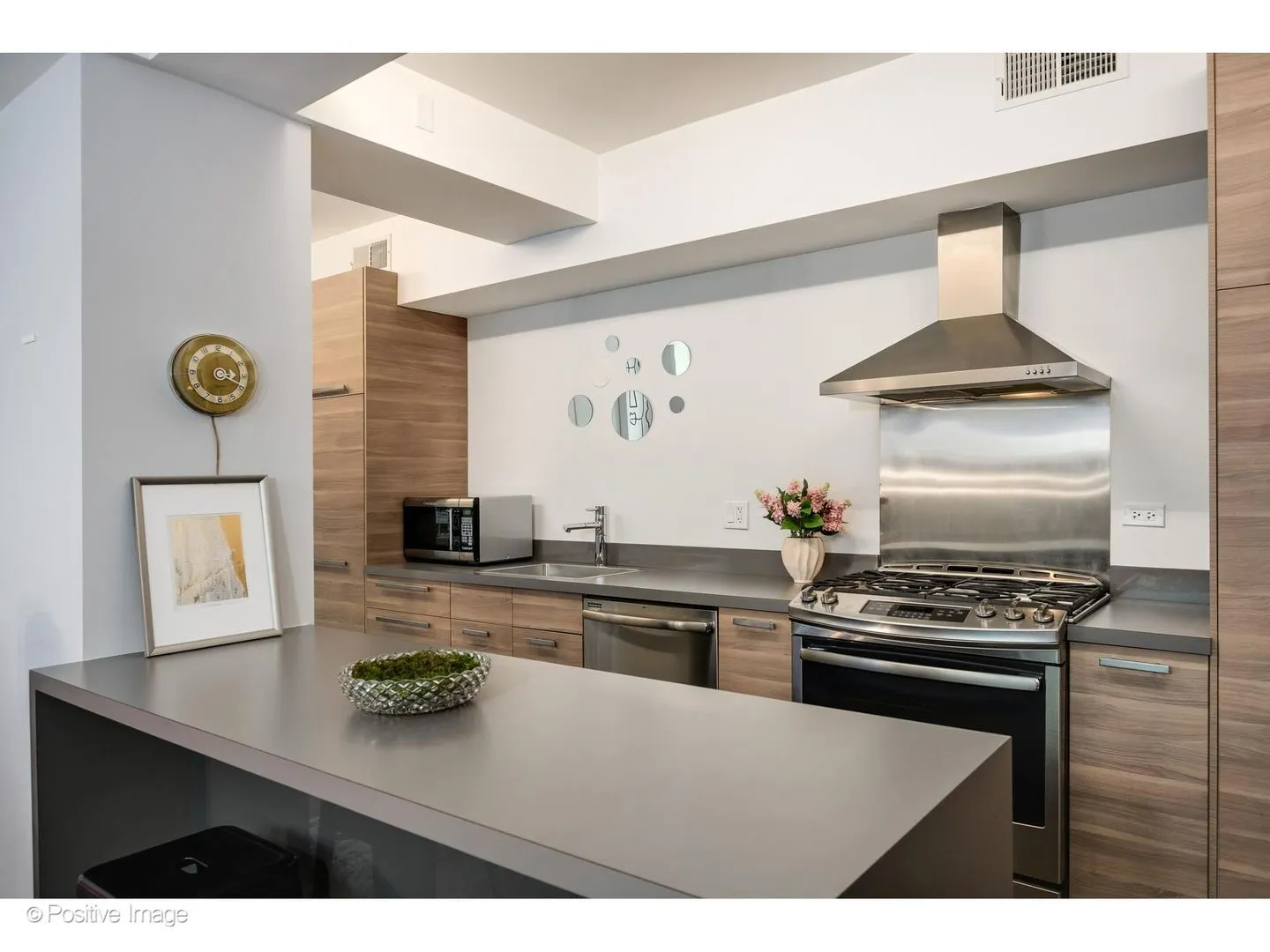 1019 N Wolcott Ave, ,  60622, USA 60622-Chicago-IL