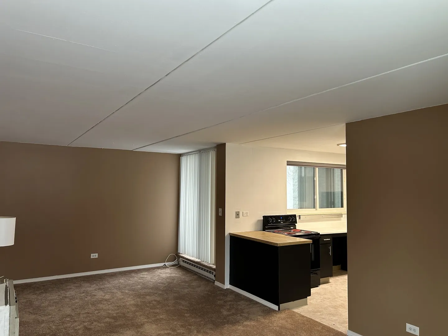 366 W Miner St, ,  60005, USA 60005-Arlington Heights-IL