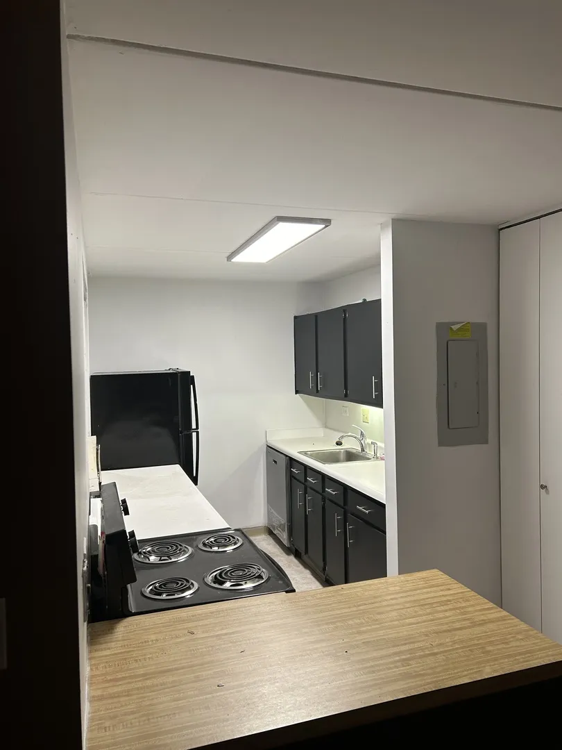 366 W Miner St, ,  60005, USA 60005-Arlington Heights-IL