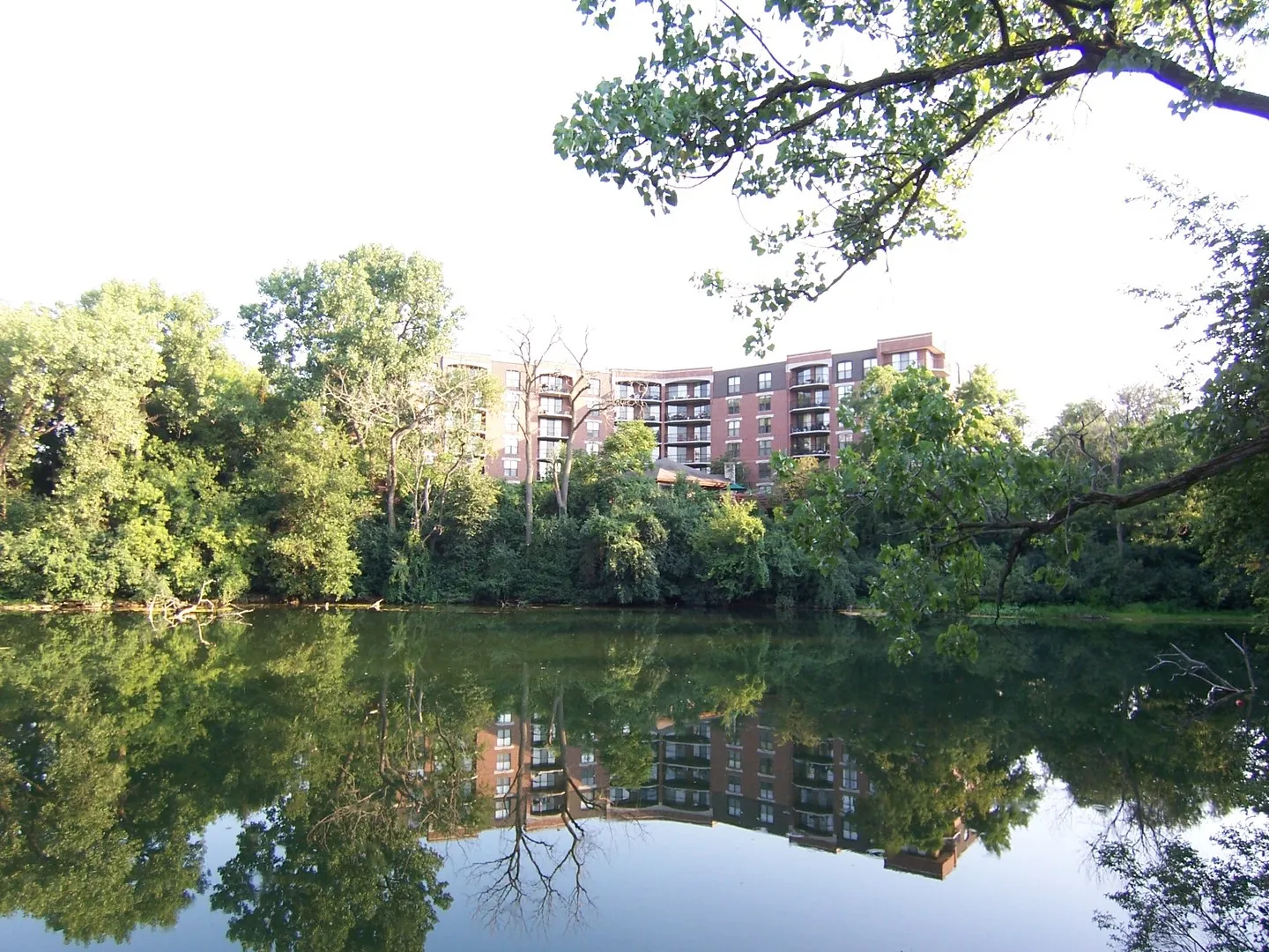 509 Aurora Ave, , 60540, USA 60540-Naperville-IL