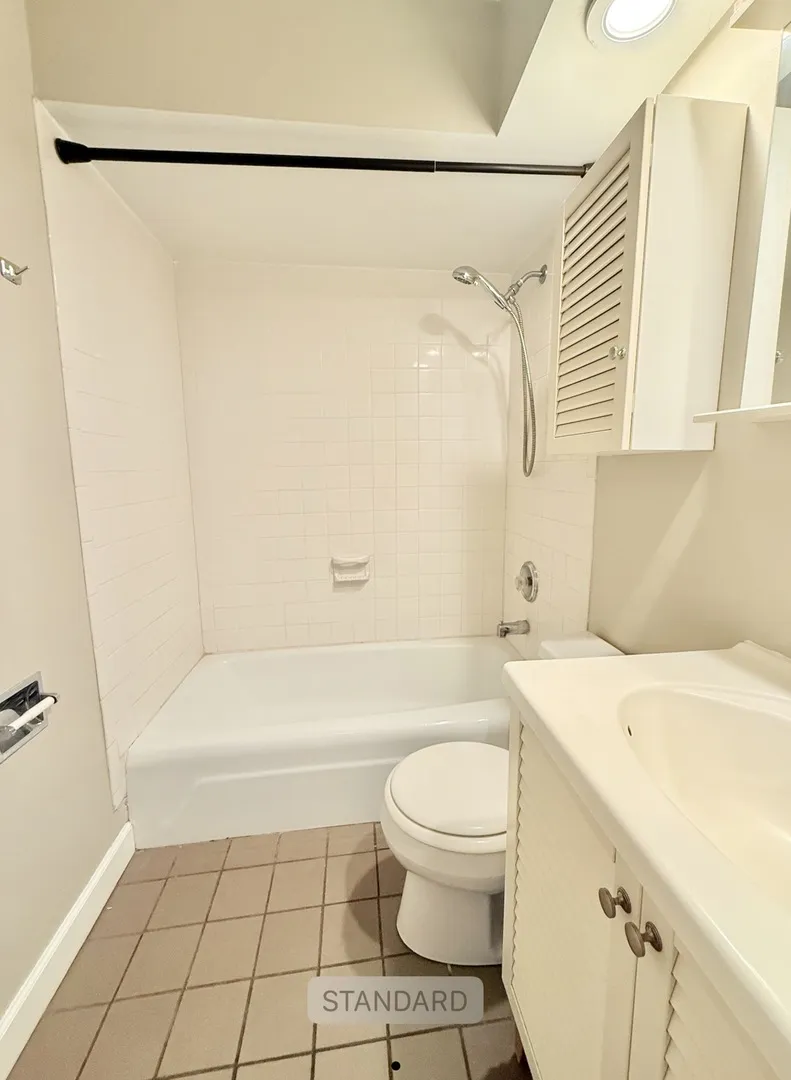 205 W Miner St, , 60005, USA 60005-Arlington Heights-IL