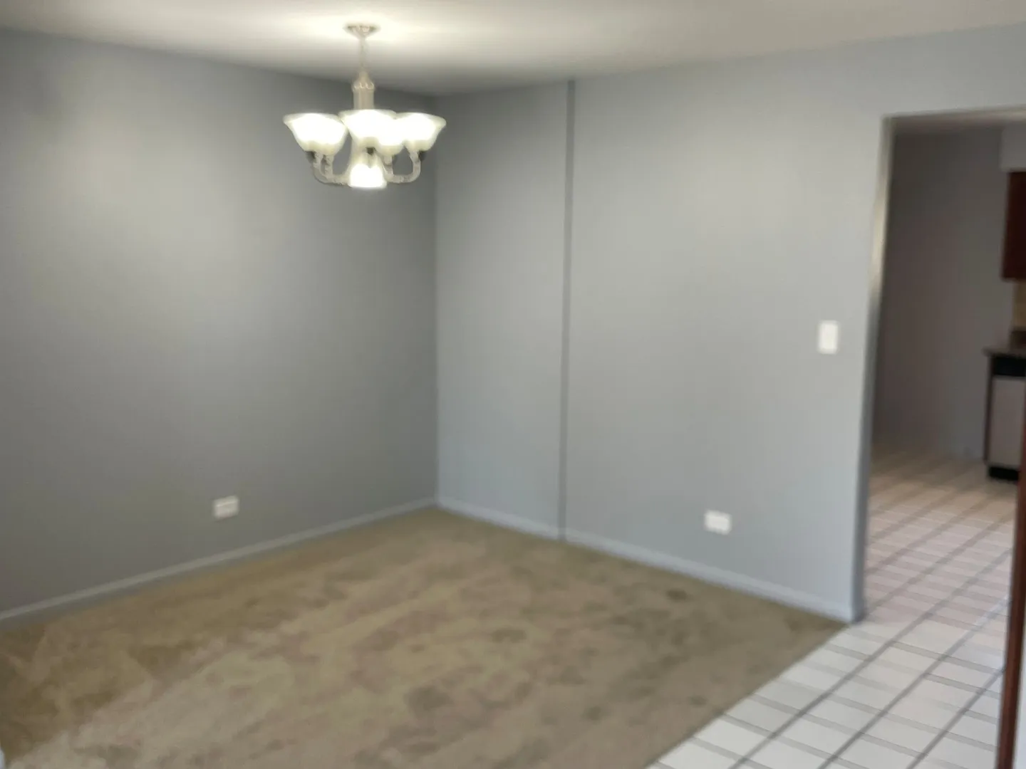 106 Olesen Dr, , 60540, USA 60540-Naperville-IL