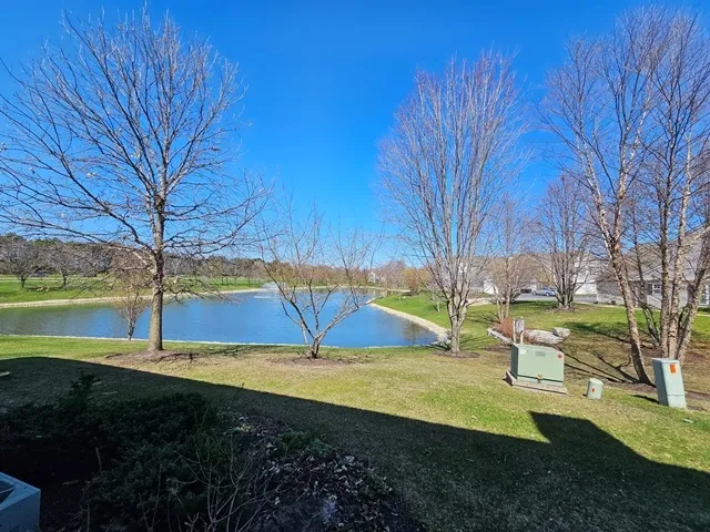 2923 Bartlett Ct, , 60564, USA 60564-Naperville-IL