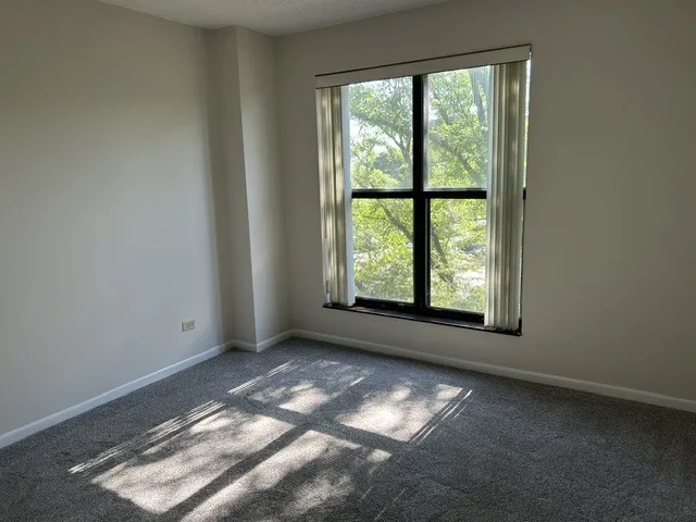 511 Aurora Ave, ,  60540, USA 60540-unit#418-Naperville-IL