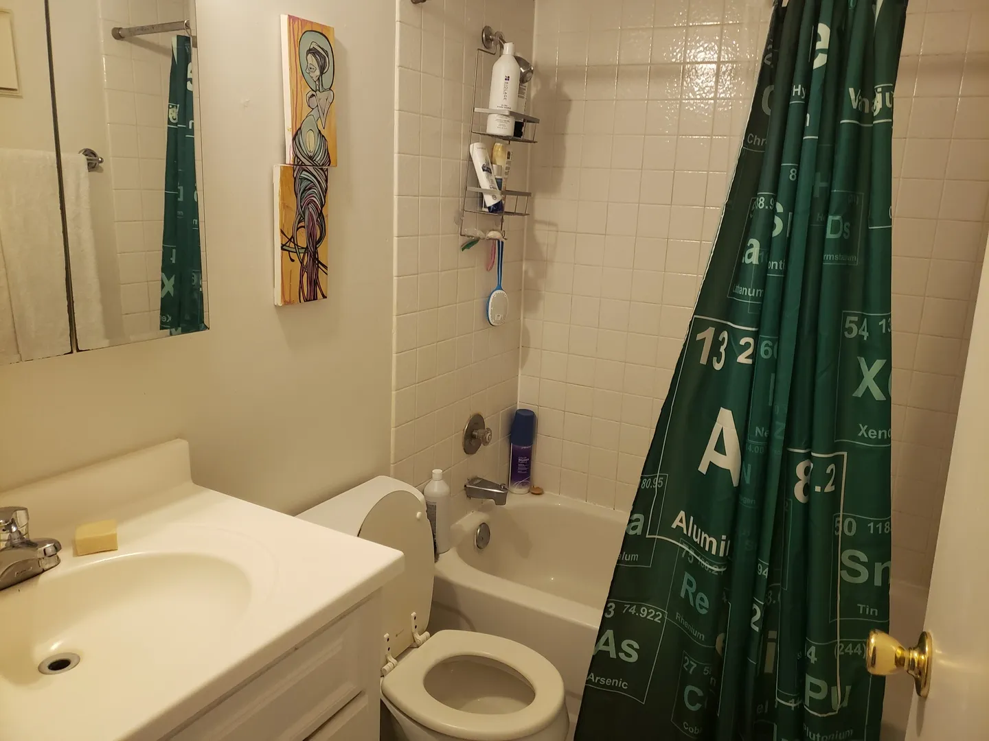9357 Bay Colony Dr, ,  60016, USA 60016-unit#1N-Des Plaines-IL