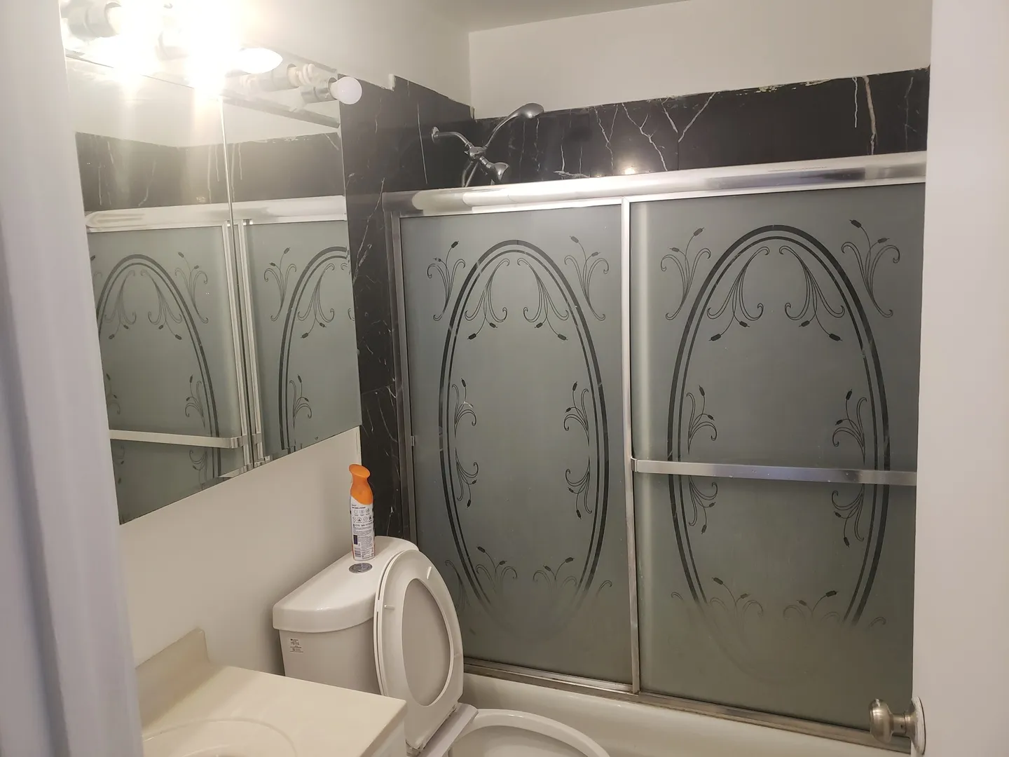 9418 Bay Colony Dr, ,  60016, USA 60016-unit#1N-Des Plaines-IL