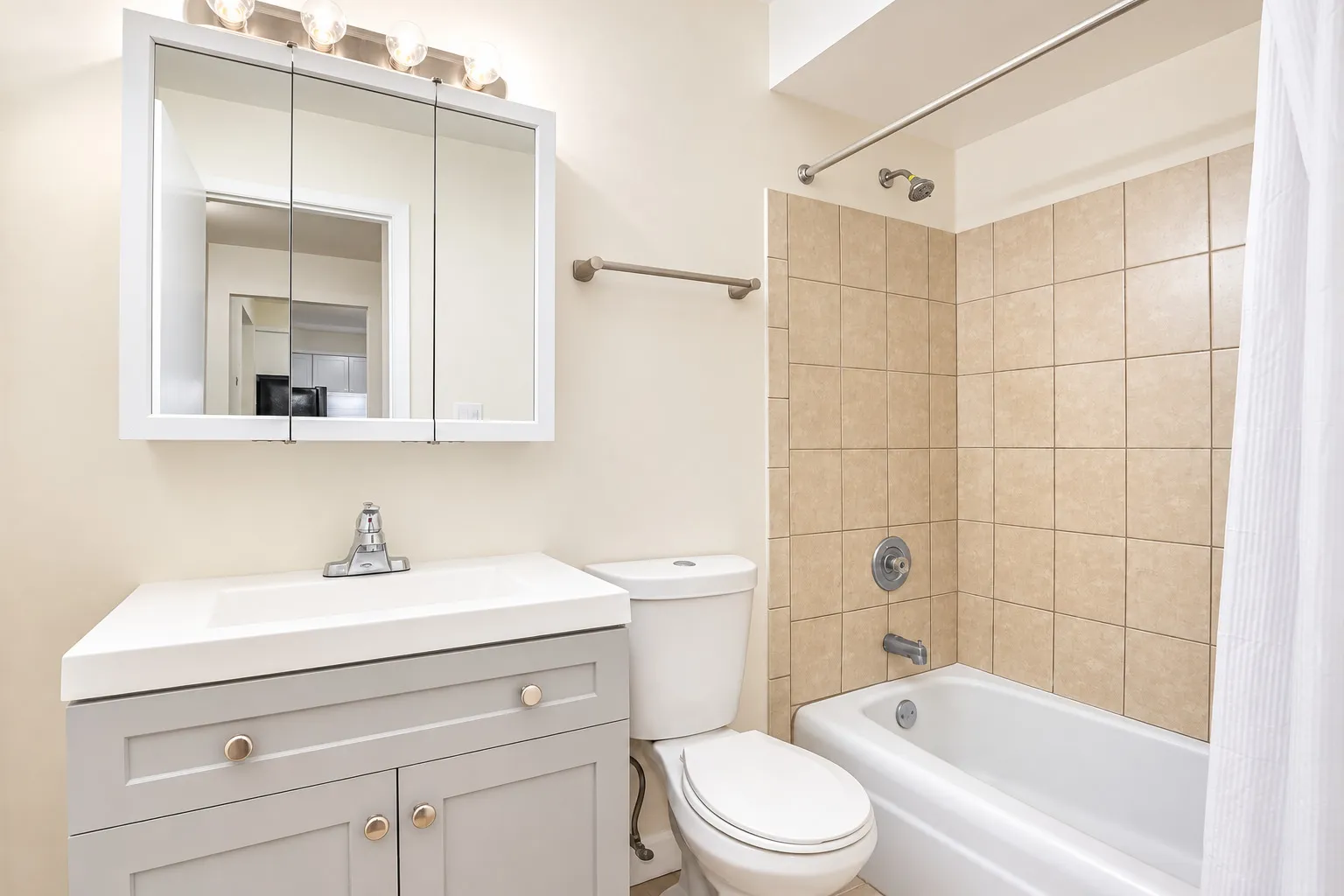 1039 College Ave, ,  60187, USA 60187-unit#3W-Wheaton-IL