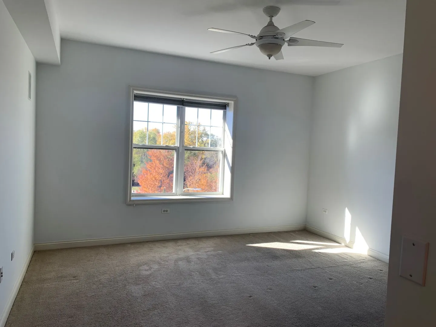 101 Pointe Dr, ,  60062, USA 60062-unit#109-Northbrook-IL