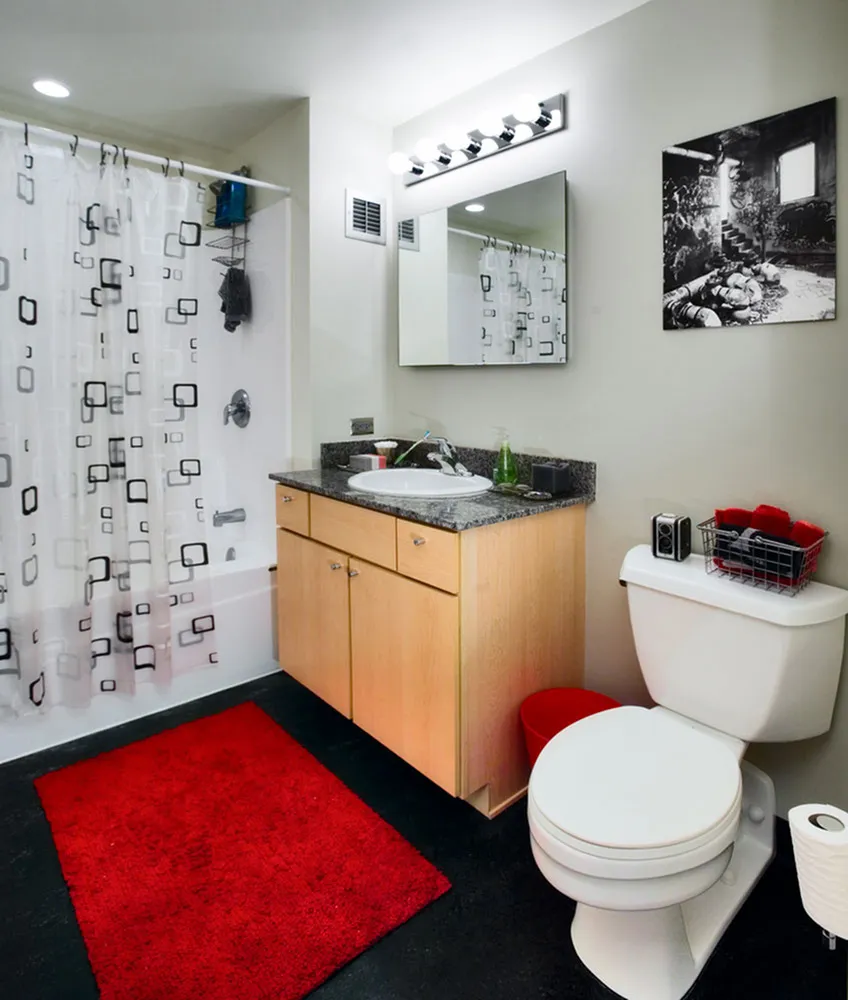 642 S Clark St 60605 60605-Dwight Lofts-Chicago-IL