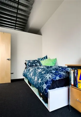 642 S Clark St 60605 60605-Dwight Lofts-Chicago-IL