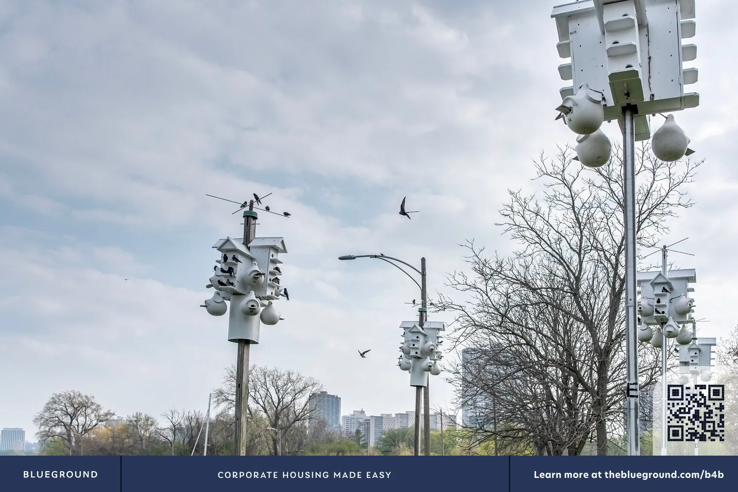 5050 N Broadway, ,  60640, USA 60640-unit#CHI-380-Chicago-IL